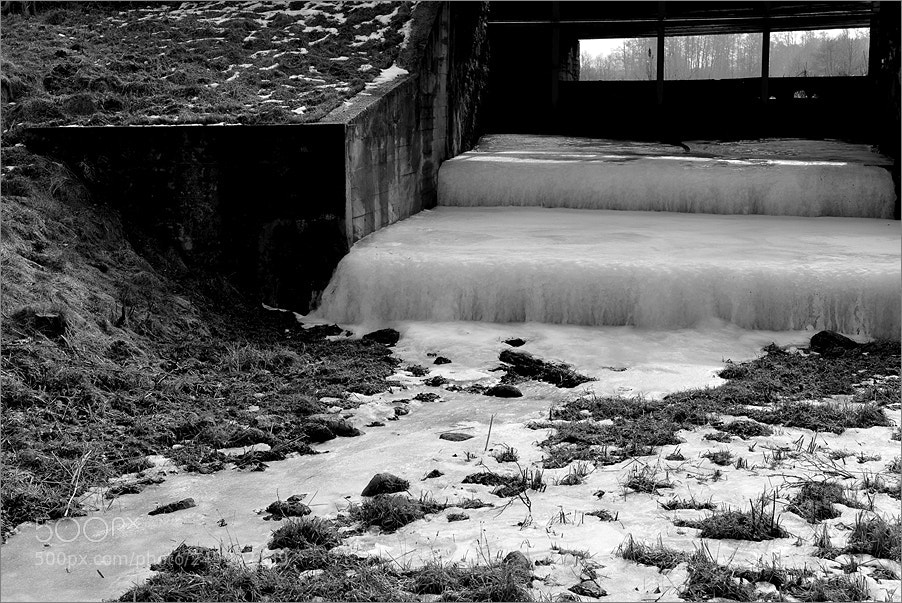Nikon D610 sample photo. Winter coming down the photography