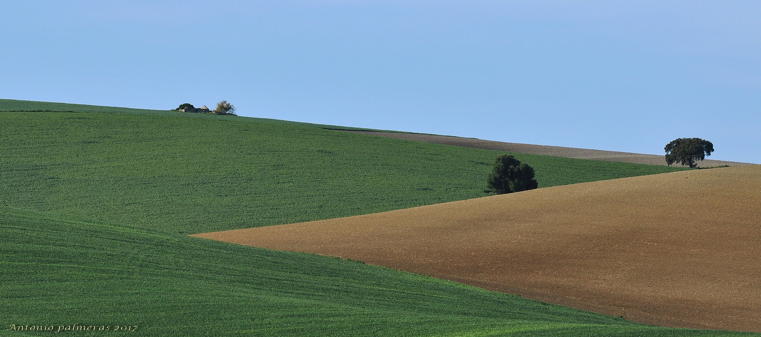 Nikon D90 sample photo. Formas photography