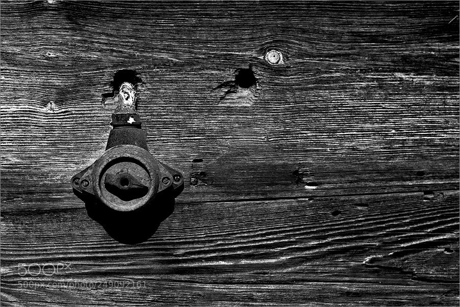 Nikon D610 sample photo. Parting photography