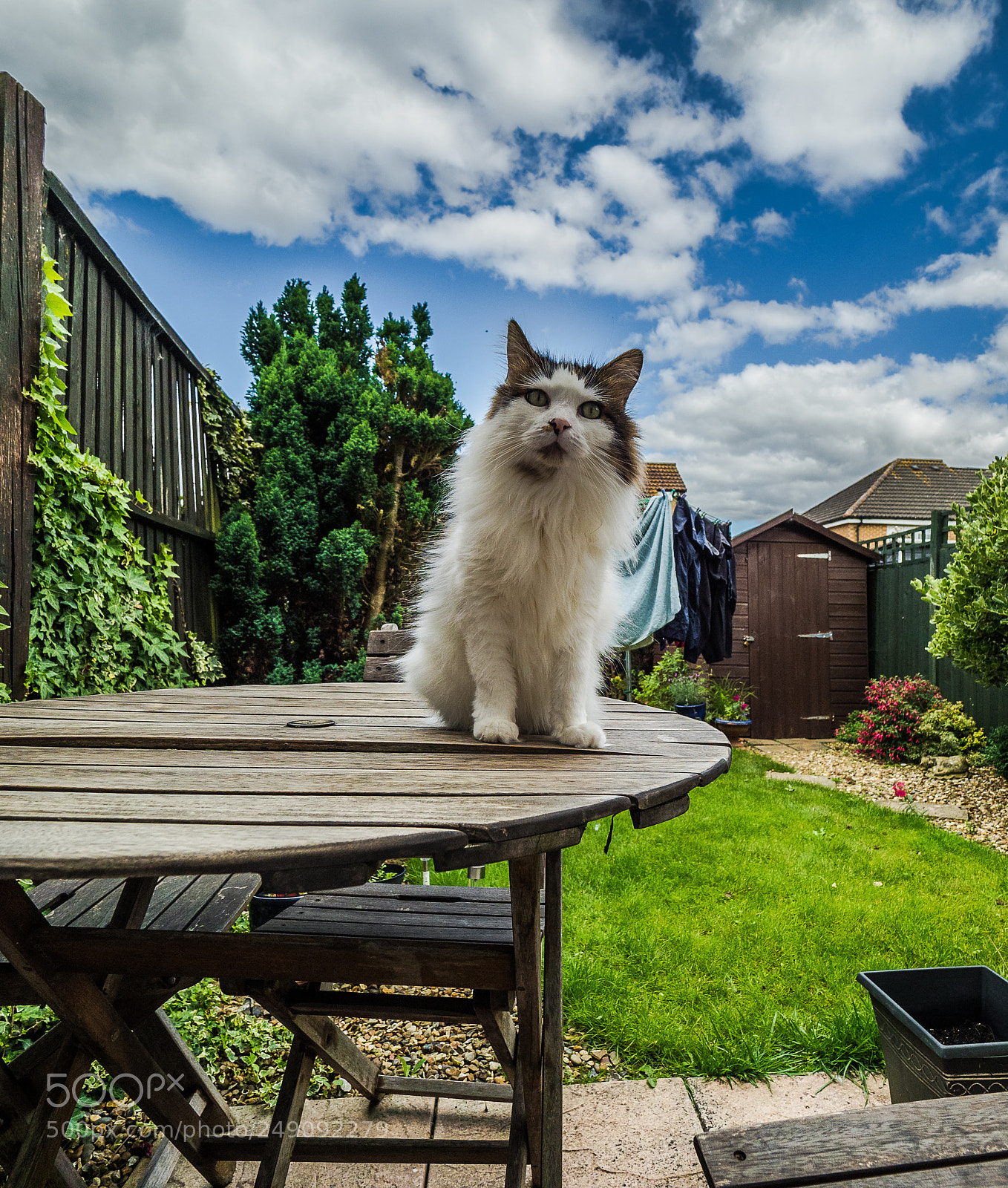 Olympus OM-D E-M1 Mark II sample photo. Olympus digital camera photography