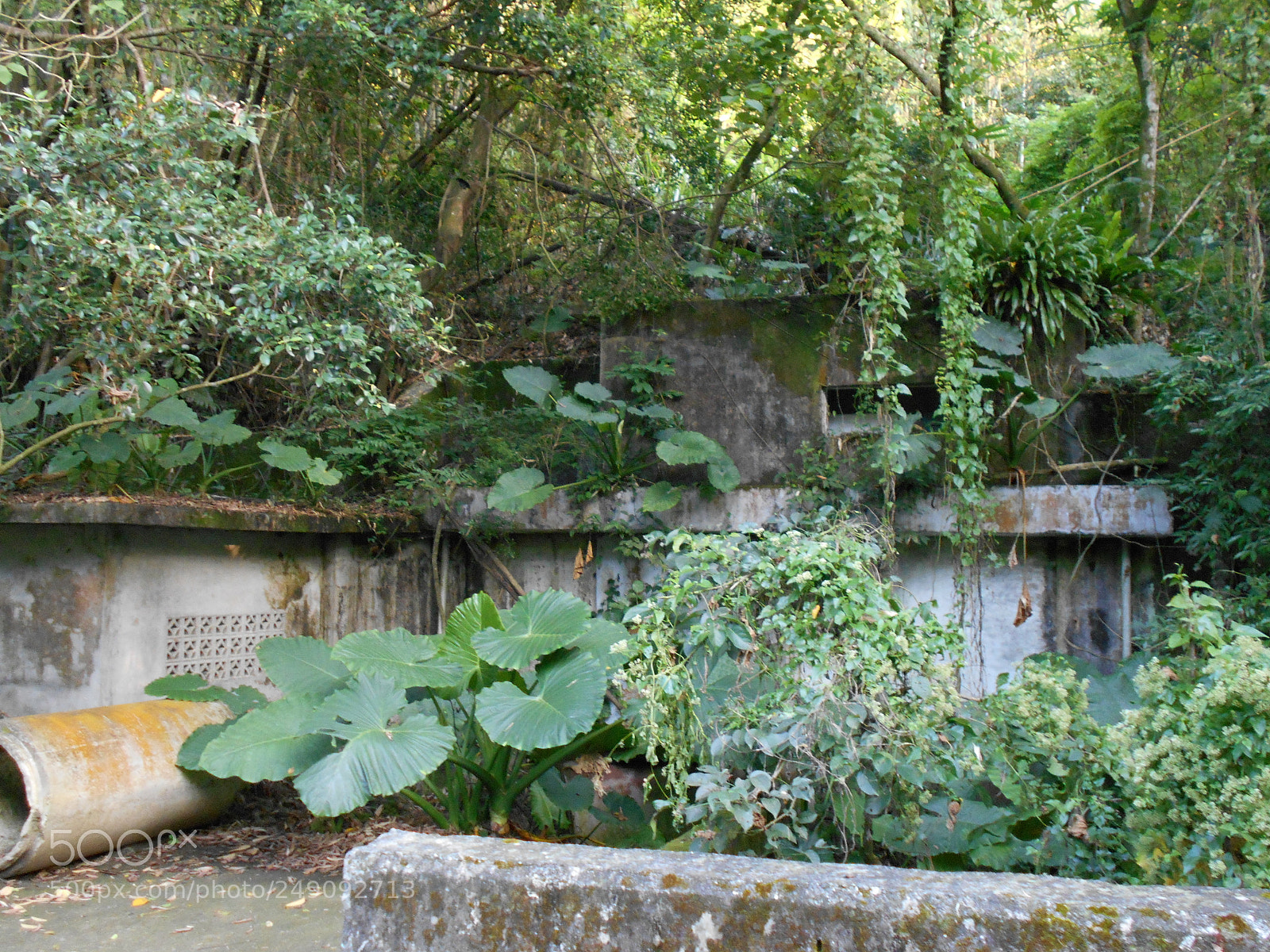 Nikon Coolpix A100 sample photo. 素材 photography
