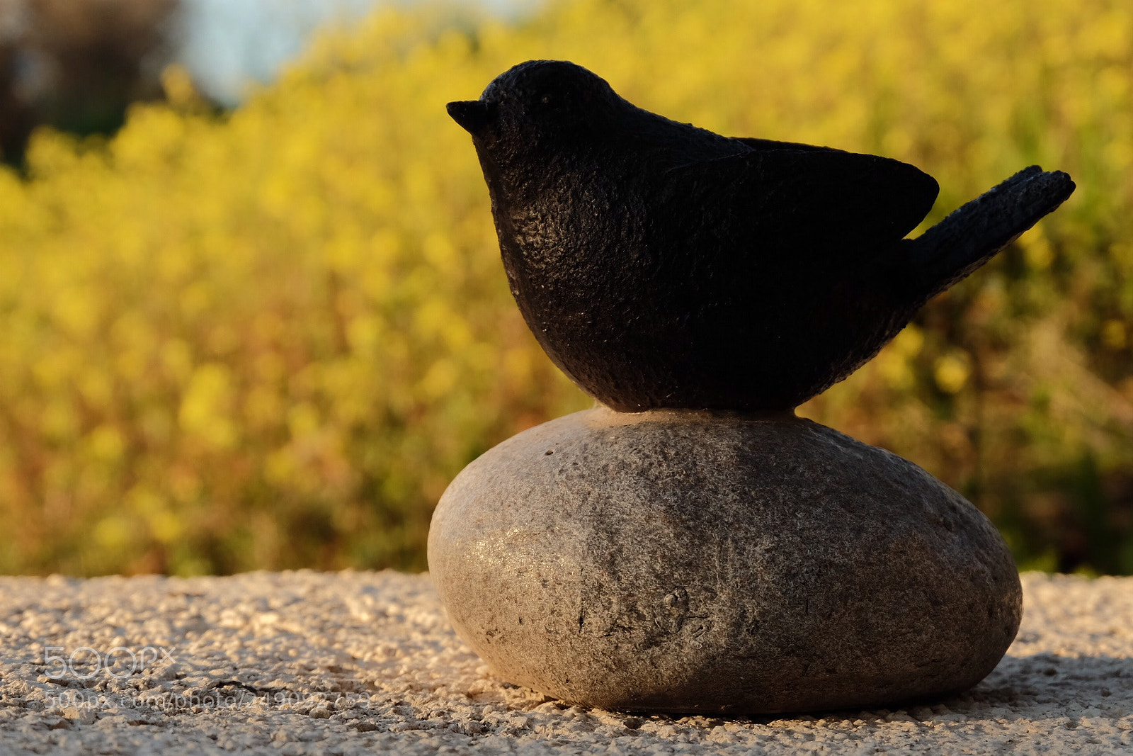 Fujifilm X-M1 sample photo. Black bird yellow background. photography