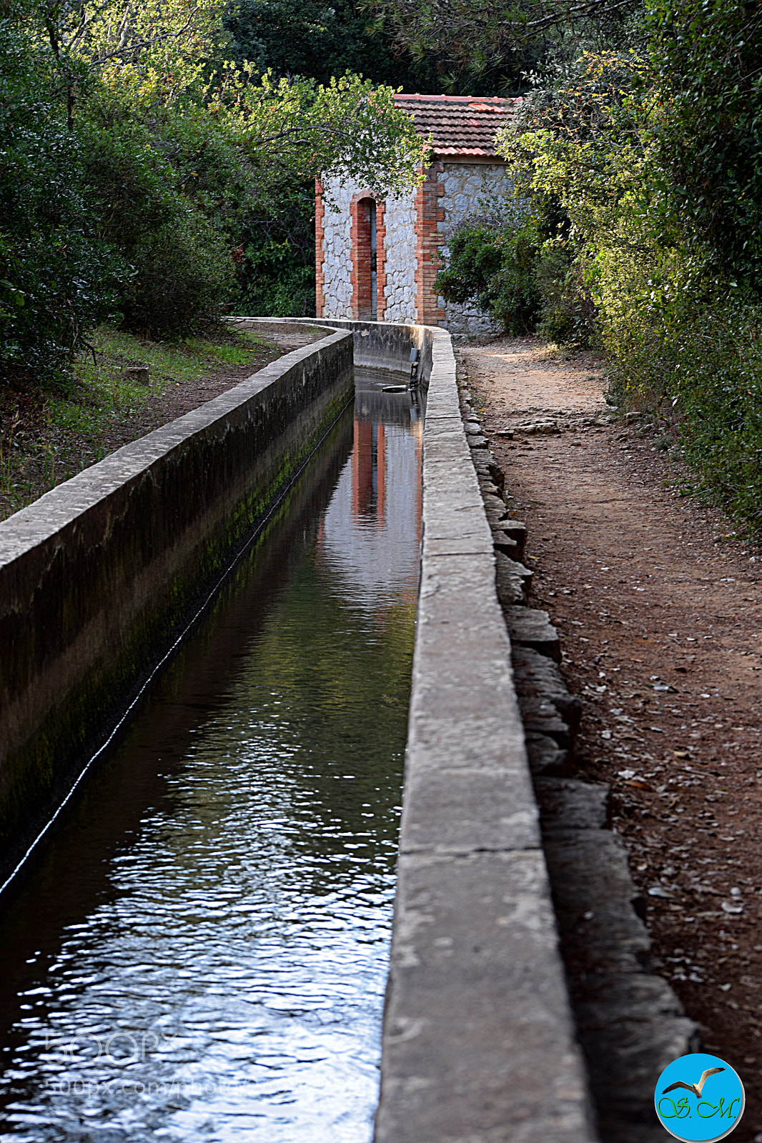 Nikon D3300 sample photo. Promenade relaxante... photography