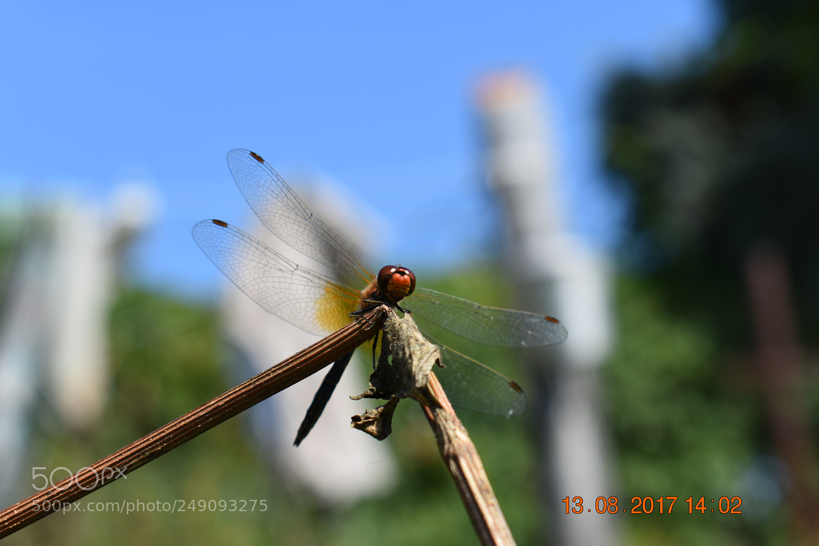 Nikon D3400 sample photo. Untitled photography