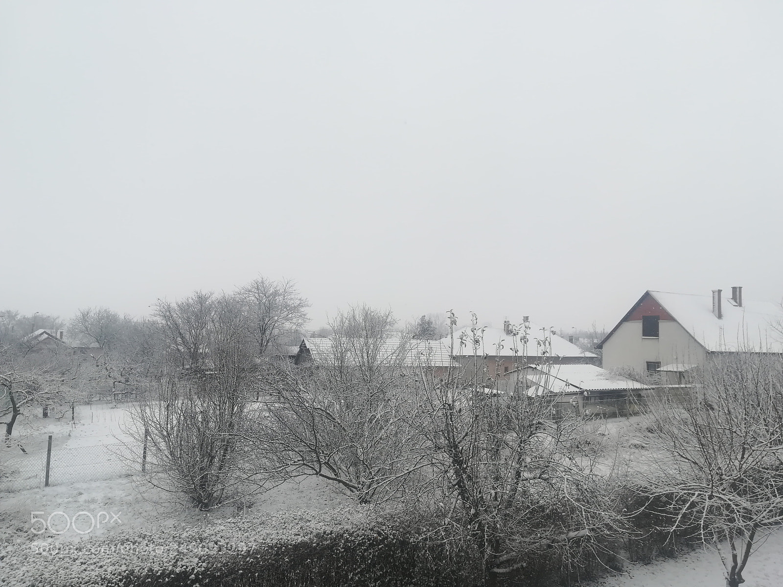 HUAWEI PRA-LX1 sample photo. Winter photography