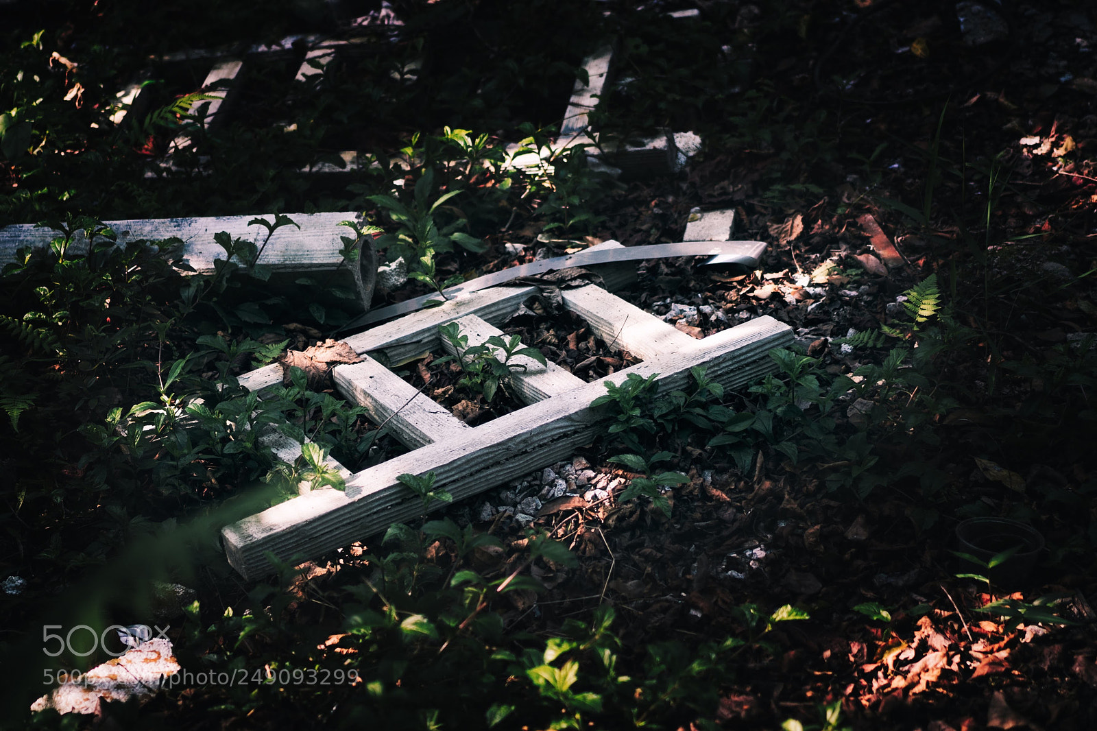 Sony a7 sample photo. 梯 photography