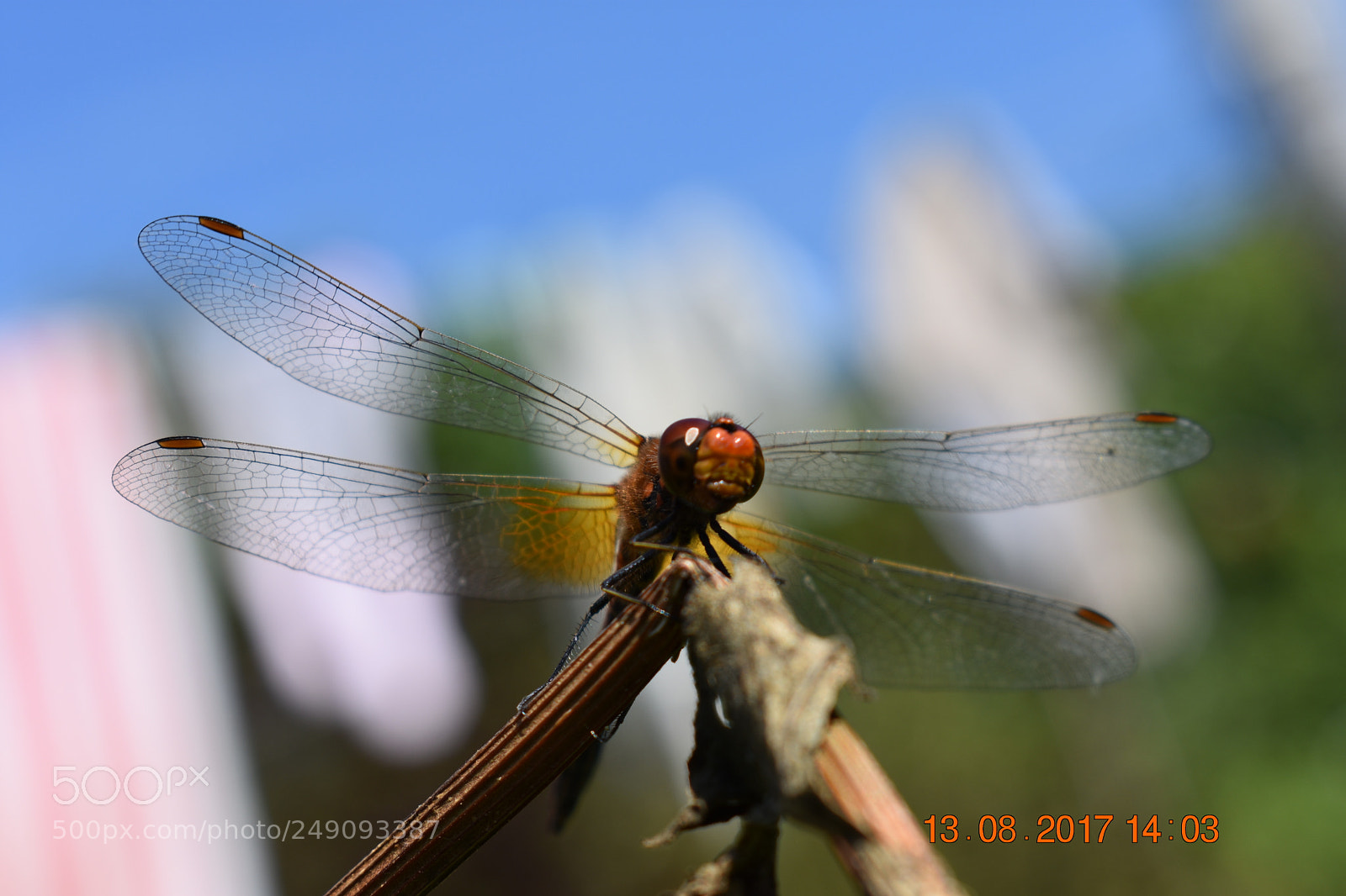 Nikon D3400 sample photo. Untitled photography