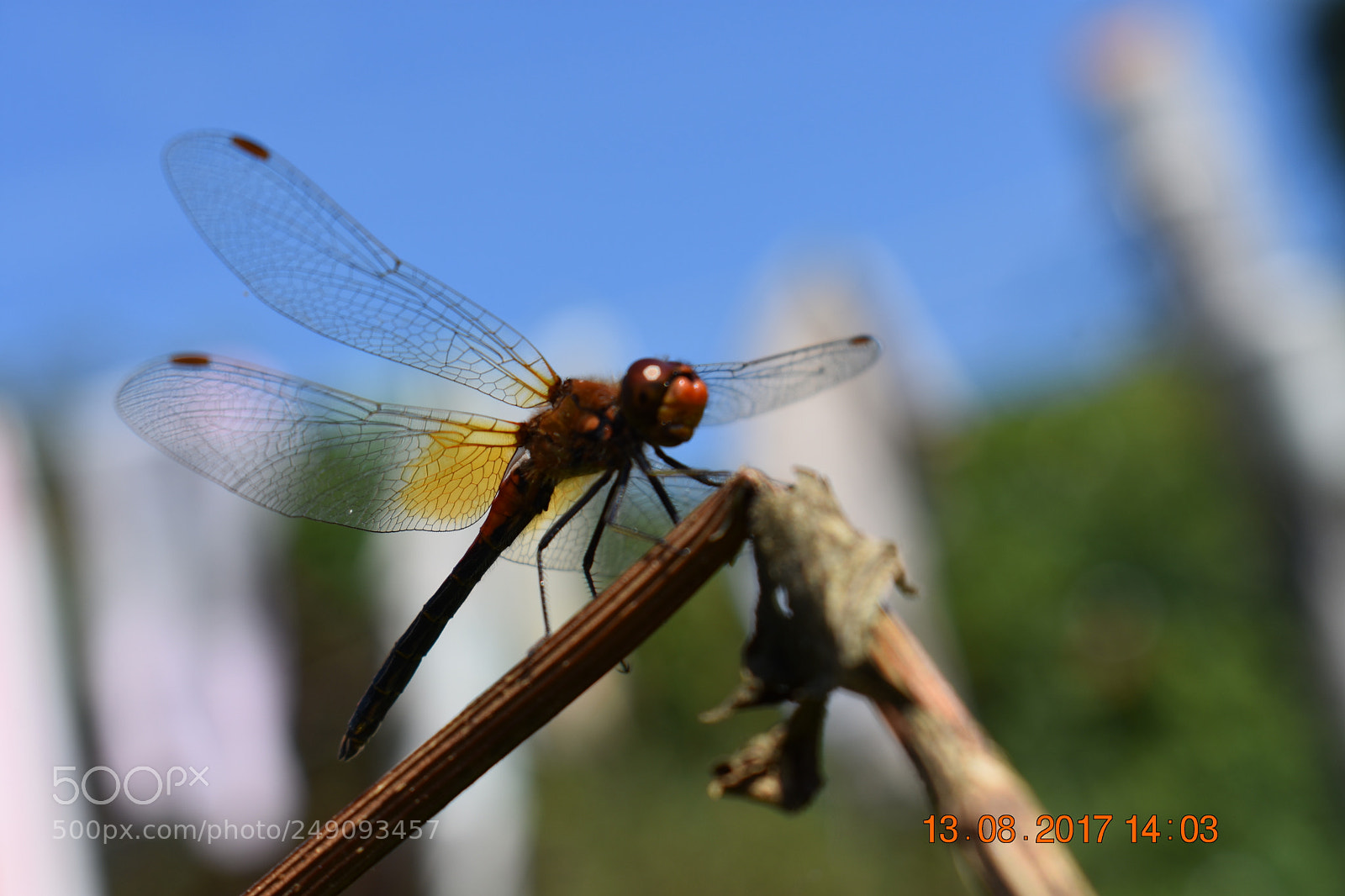 Nikon D3400 sample photo. Untitled photography