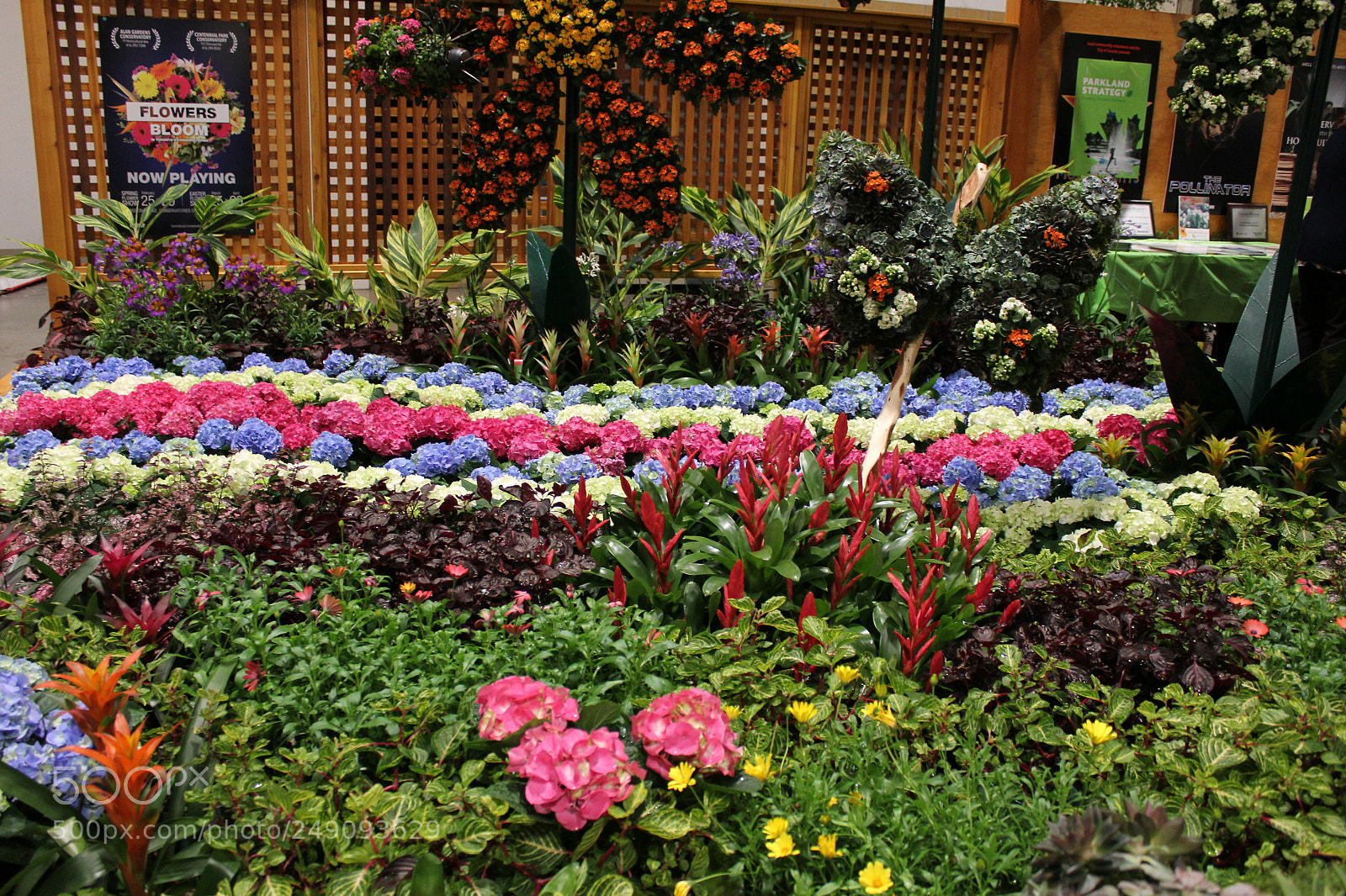 Canon EOS 550D (EOS Rebel T2i / EOS Kiss X4) sample photo. Canada blooms, toronto, ontario photography