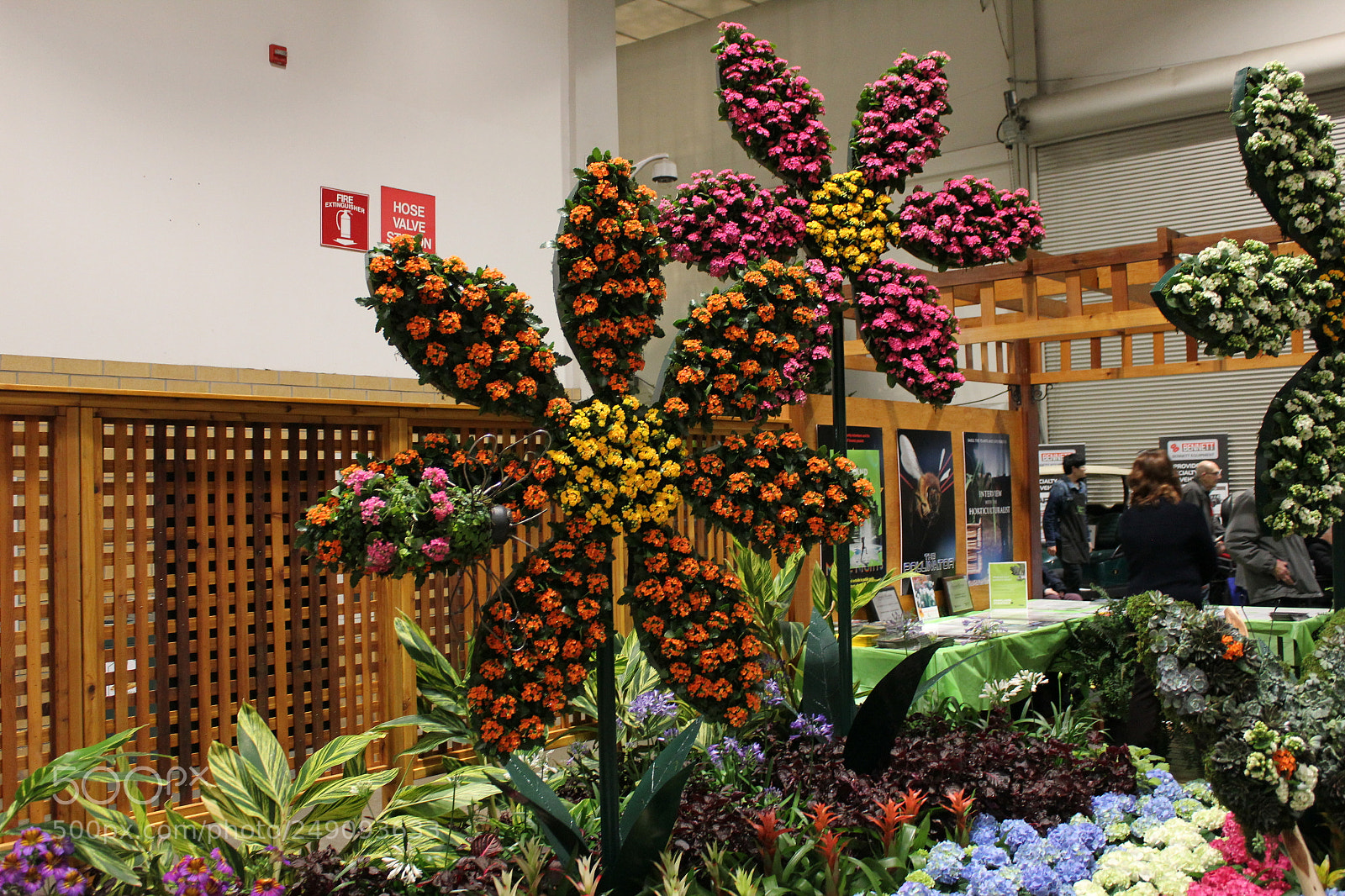 Canon EOS 550D (EOS Rebel T2i / EOS Kiss X4) sample photo. Canada blooms, toronto, ontario photography