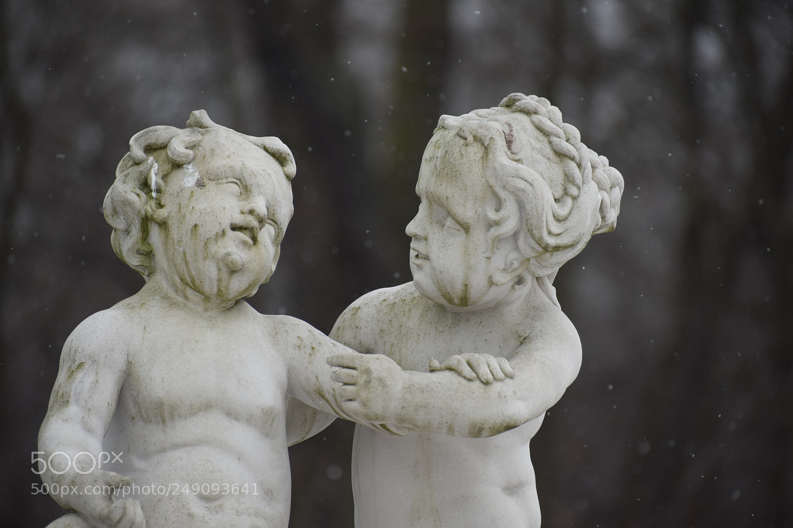 Nikon D5300 sample photo. Dsc photography