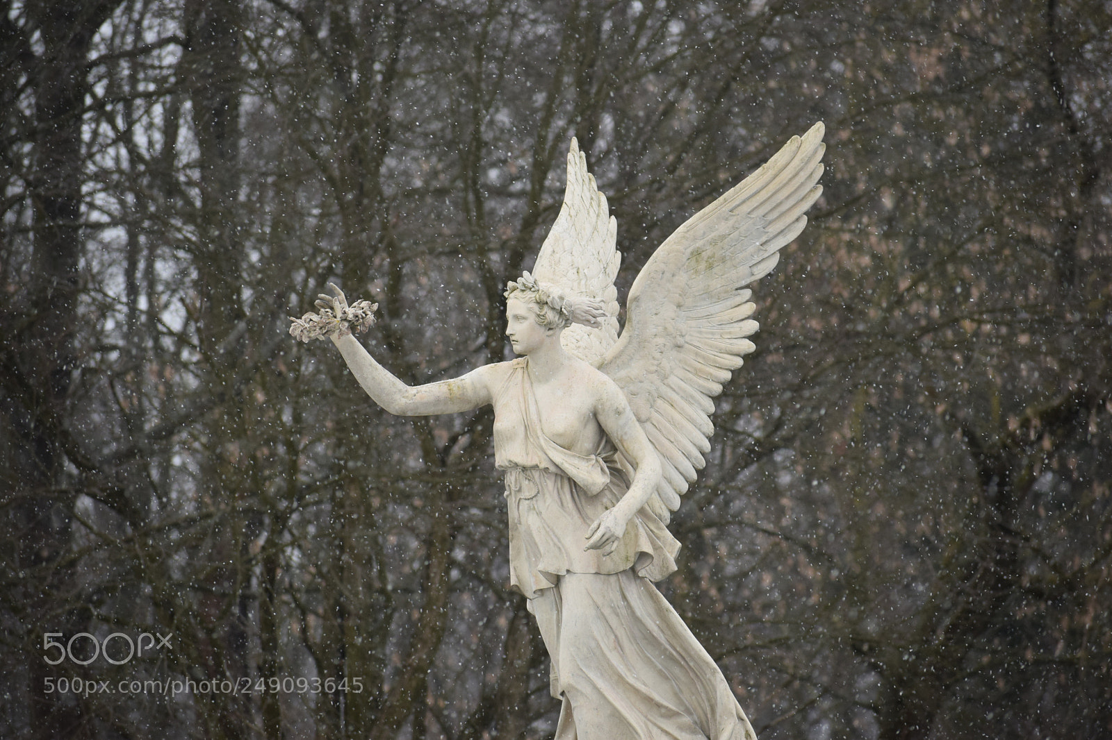 Nikon D5300 sample photo. Dsc photography