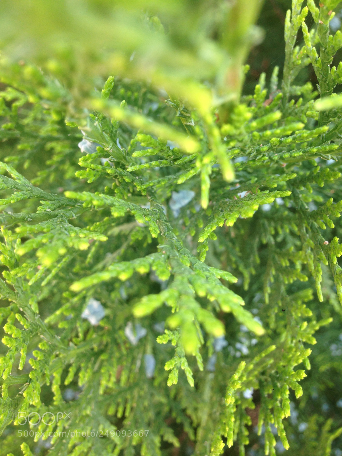 Apple iPhone 5 sample photo. Untitled photography