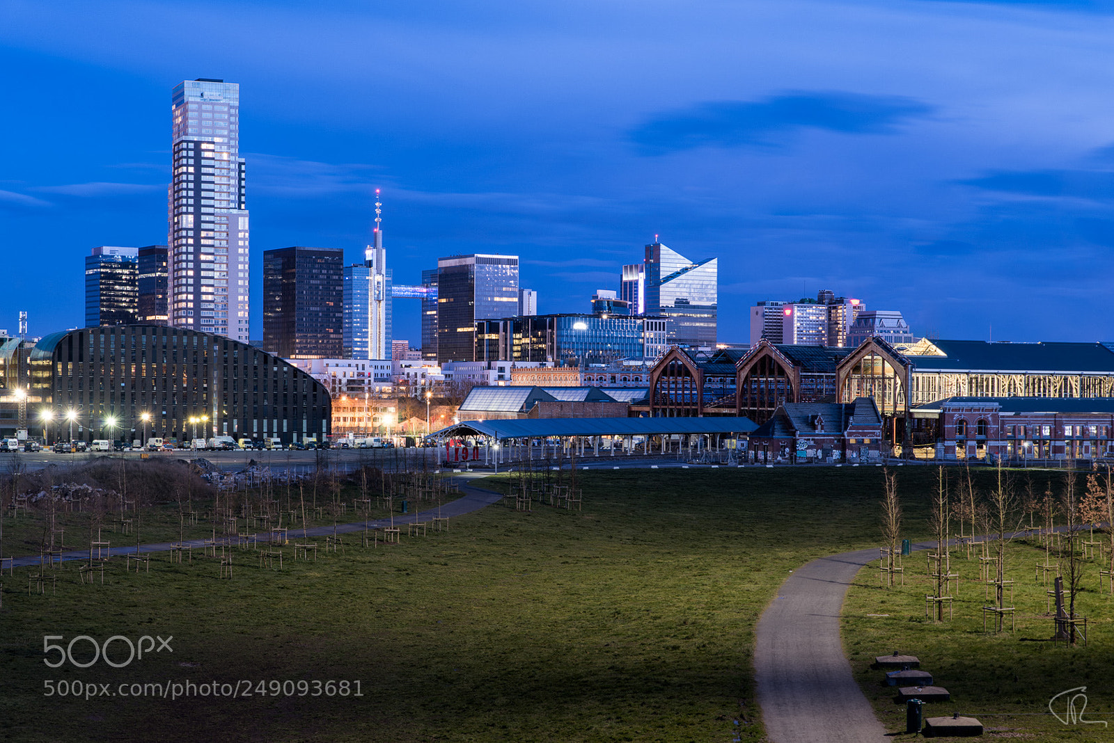Nikon D810 sample photo. Brussels skyline photography