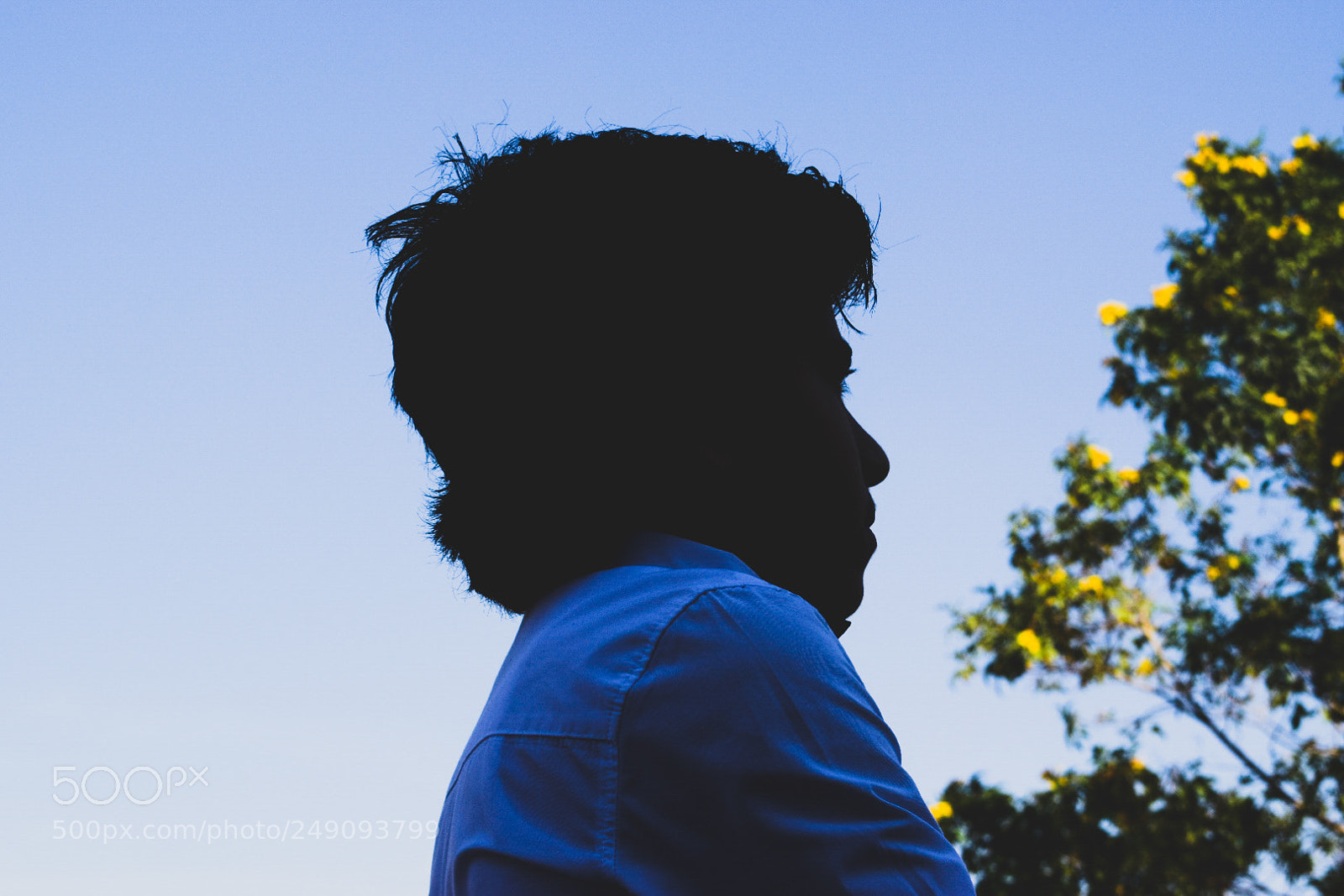 Nikon D5300 sample photo. Untitled photography
