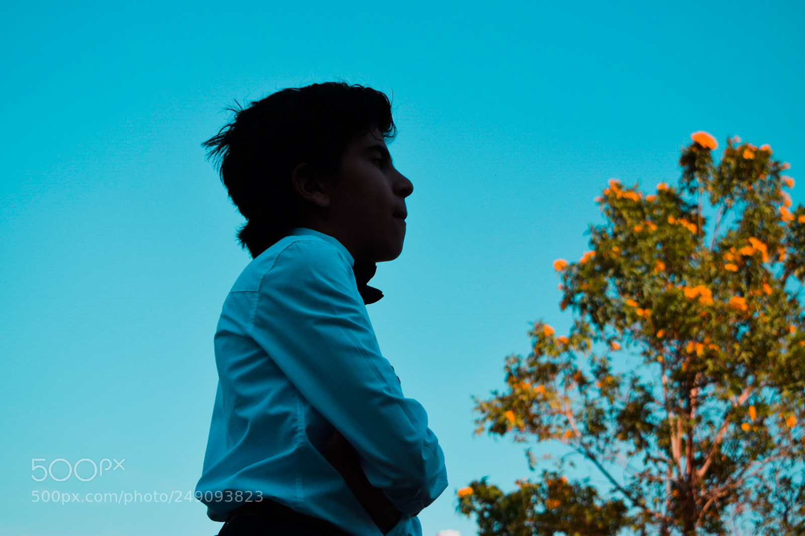 Nikon D5300 sample photo. Untitled photography