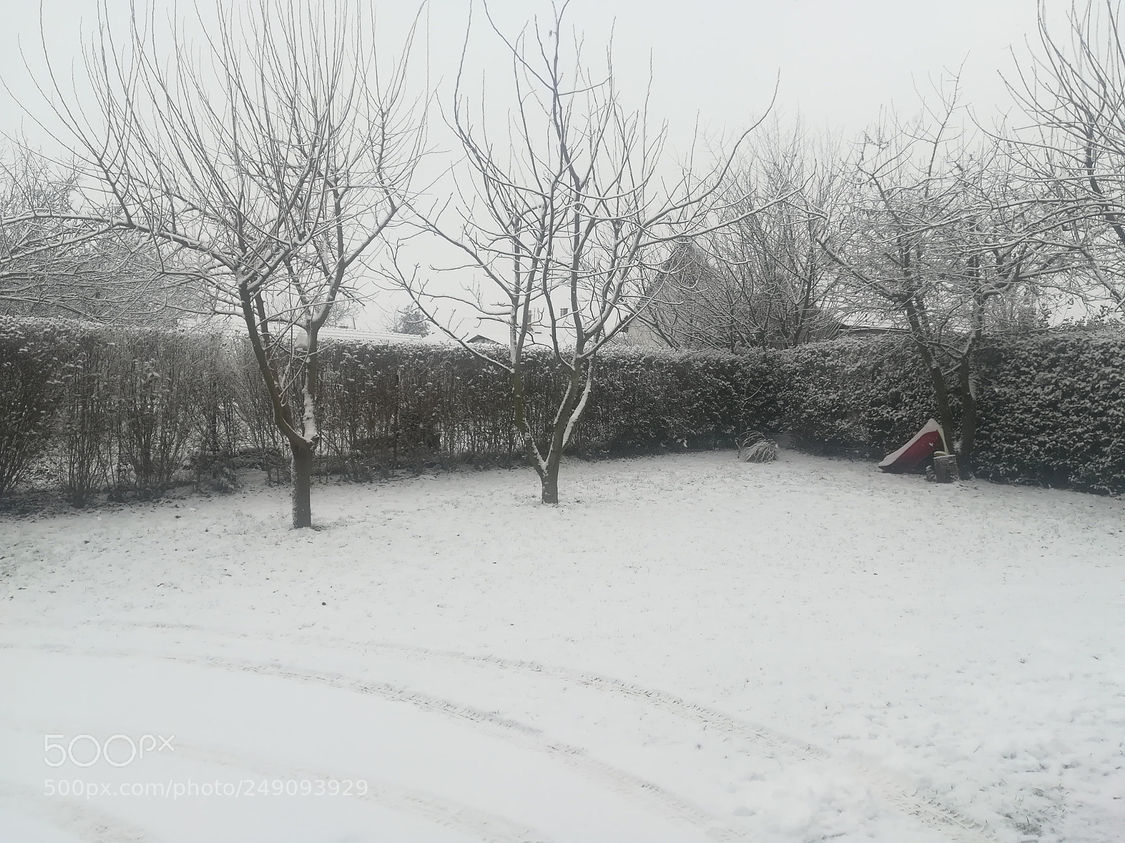 HUAWEI PRA-LX1 sample photo. Winter photography