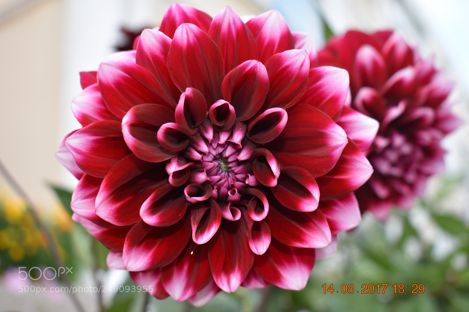 Nikon D3400 sample photo. Untitled photography