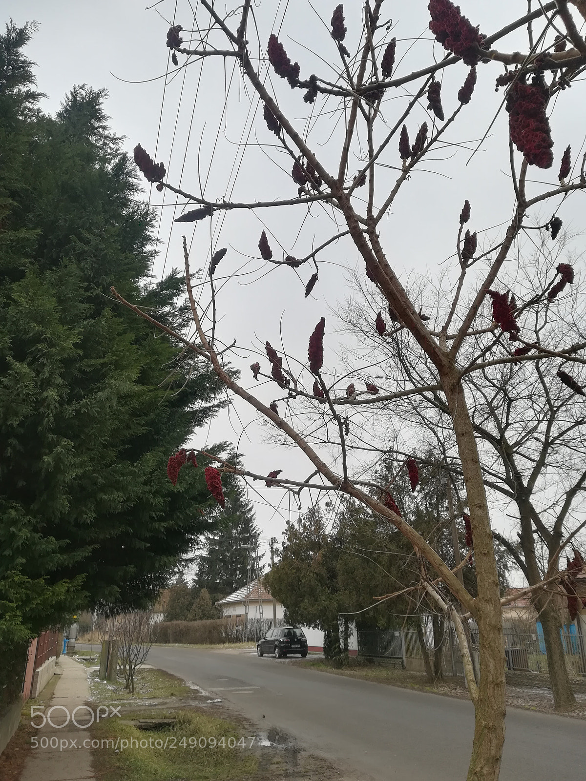 HUAWEI PRA-LX1 sample photo. Untitled photography
