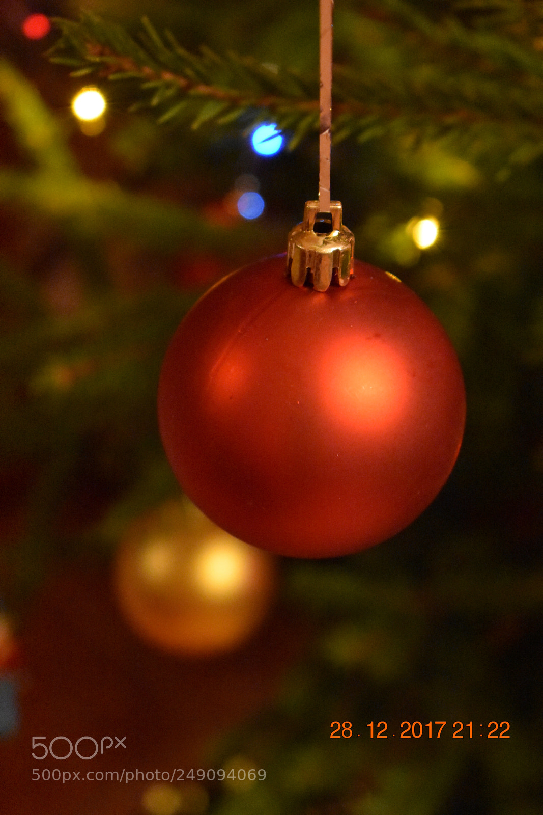 Nikon D3400 sample photo. Untitled photography