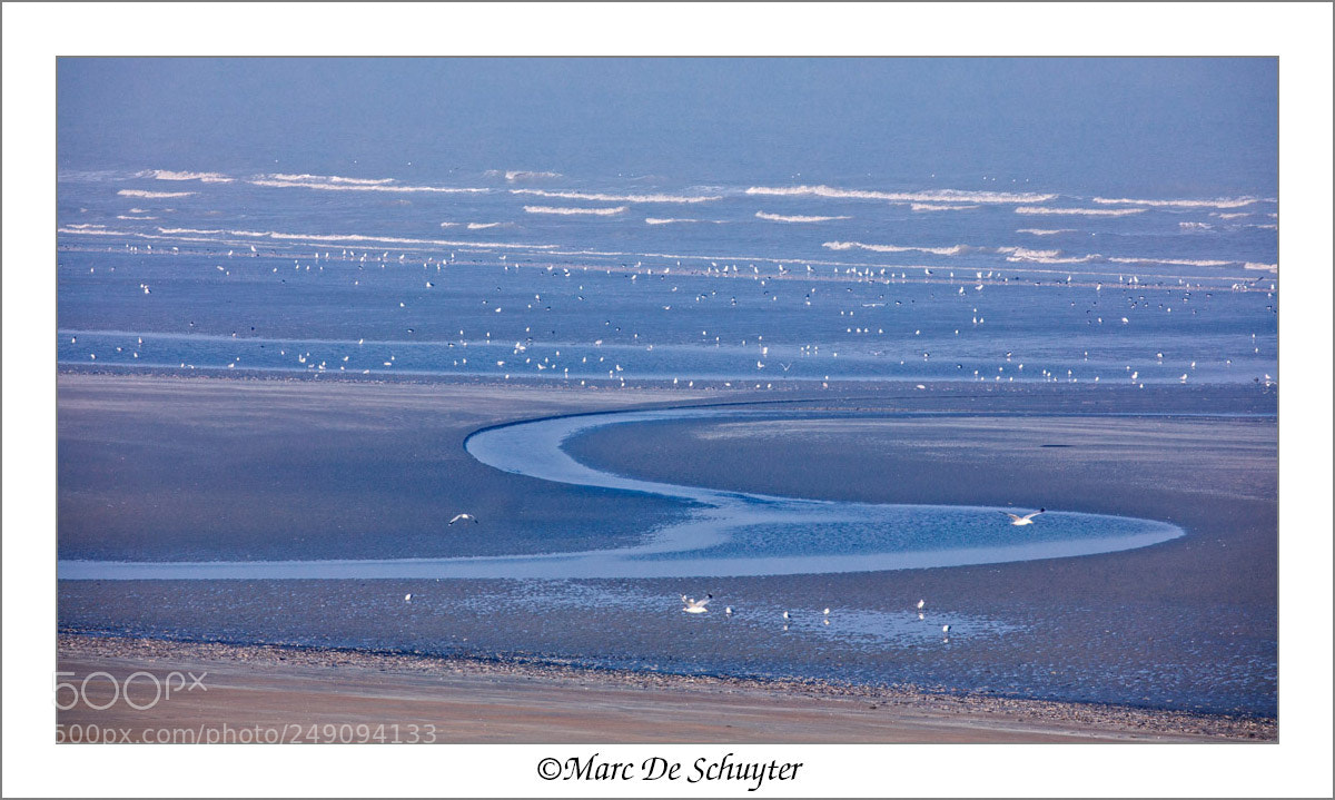Canon EOS 5D Mark IV sample photo. Winter at sea photography