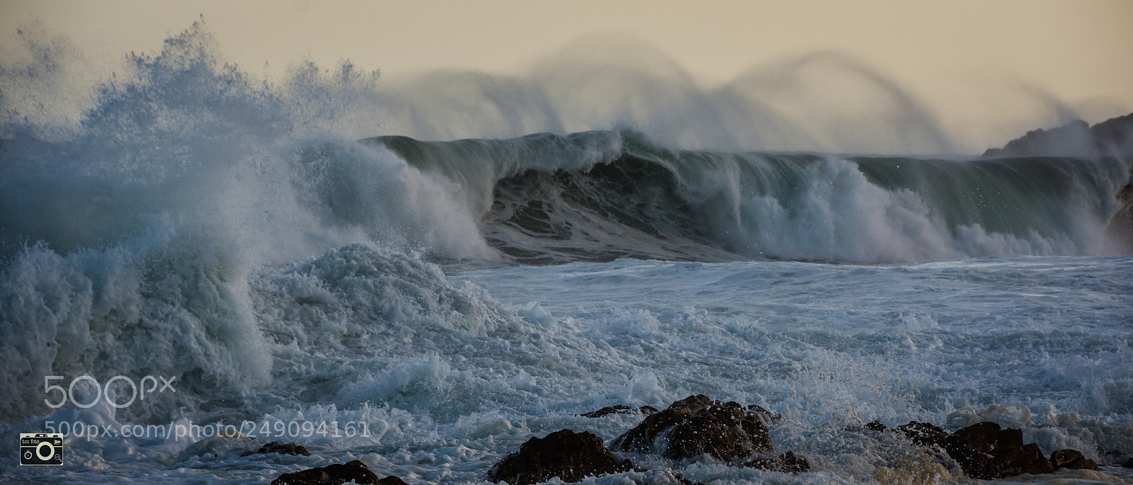 Nikon D7200 sample photo. Early morning close out photography