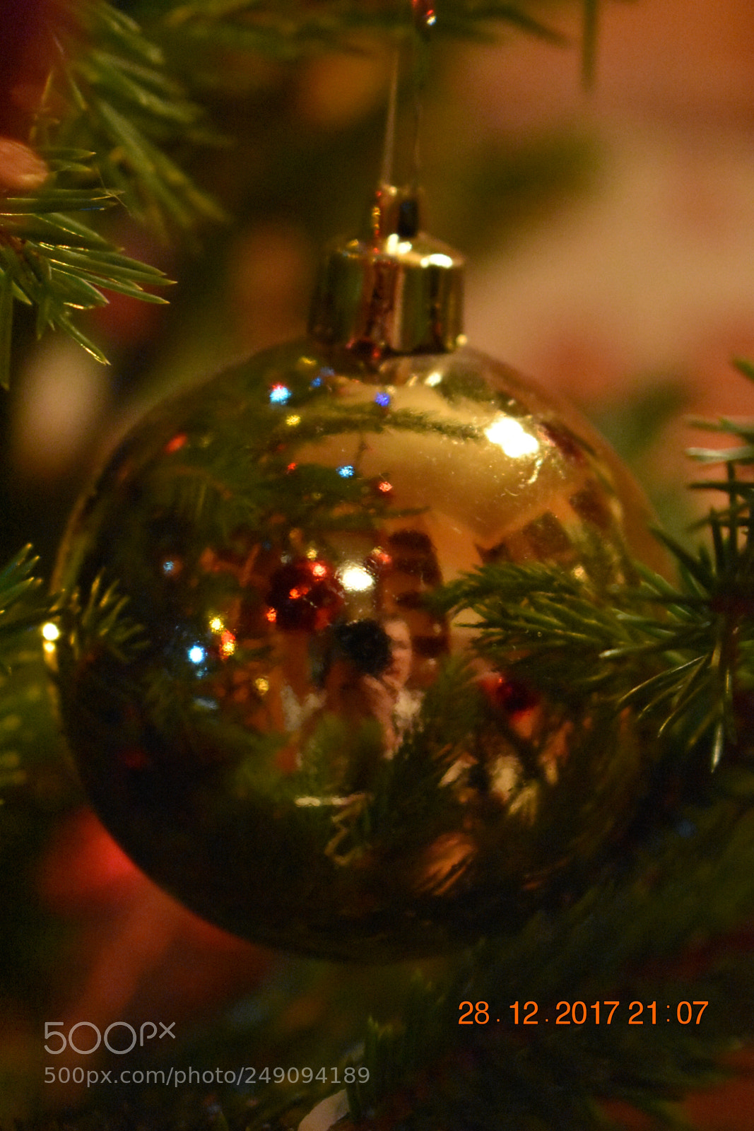 Nikon D3400 sample photo. Untitled photography