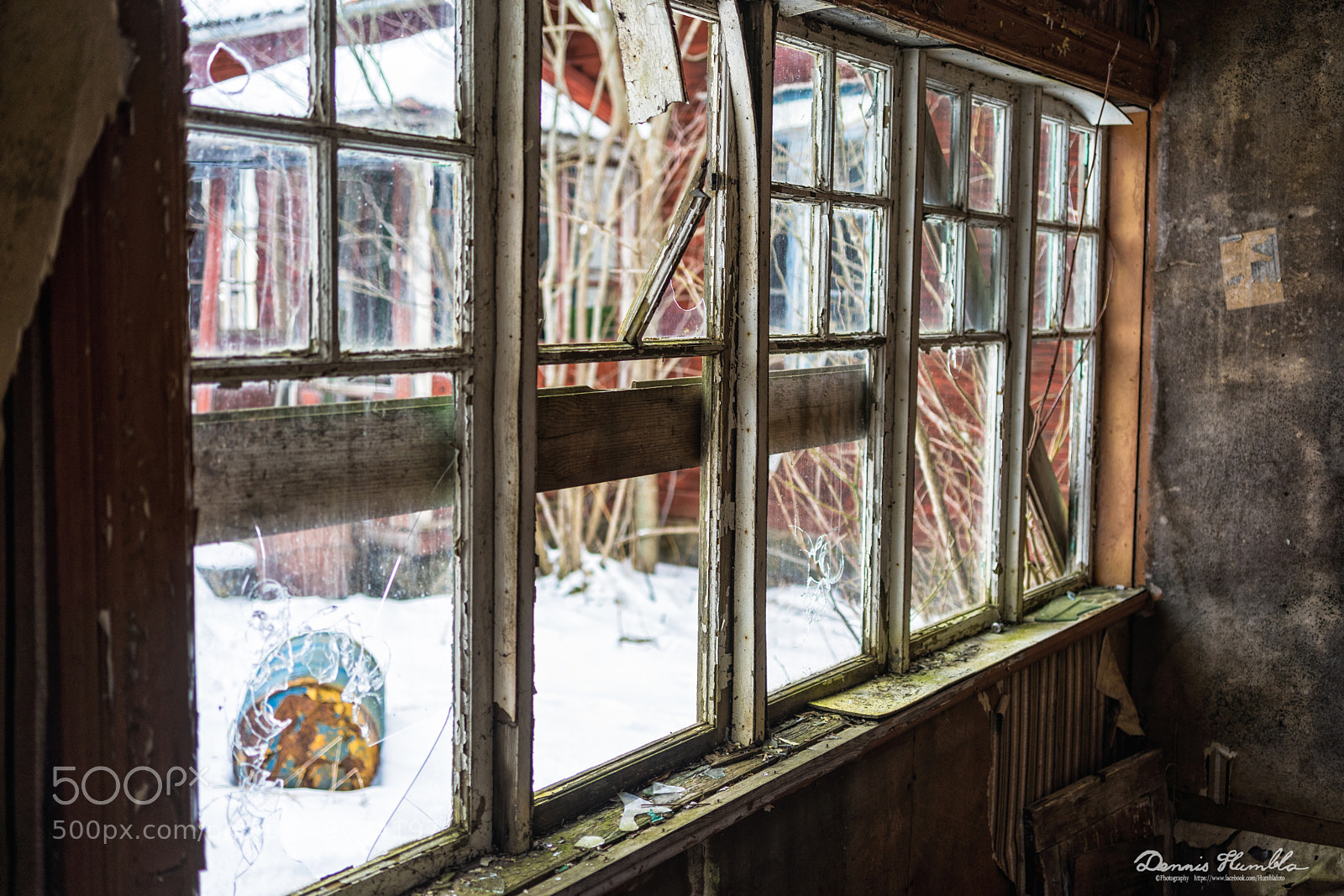 Sony a7 II sample photo. Window light photography