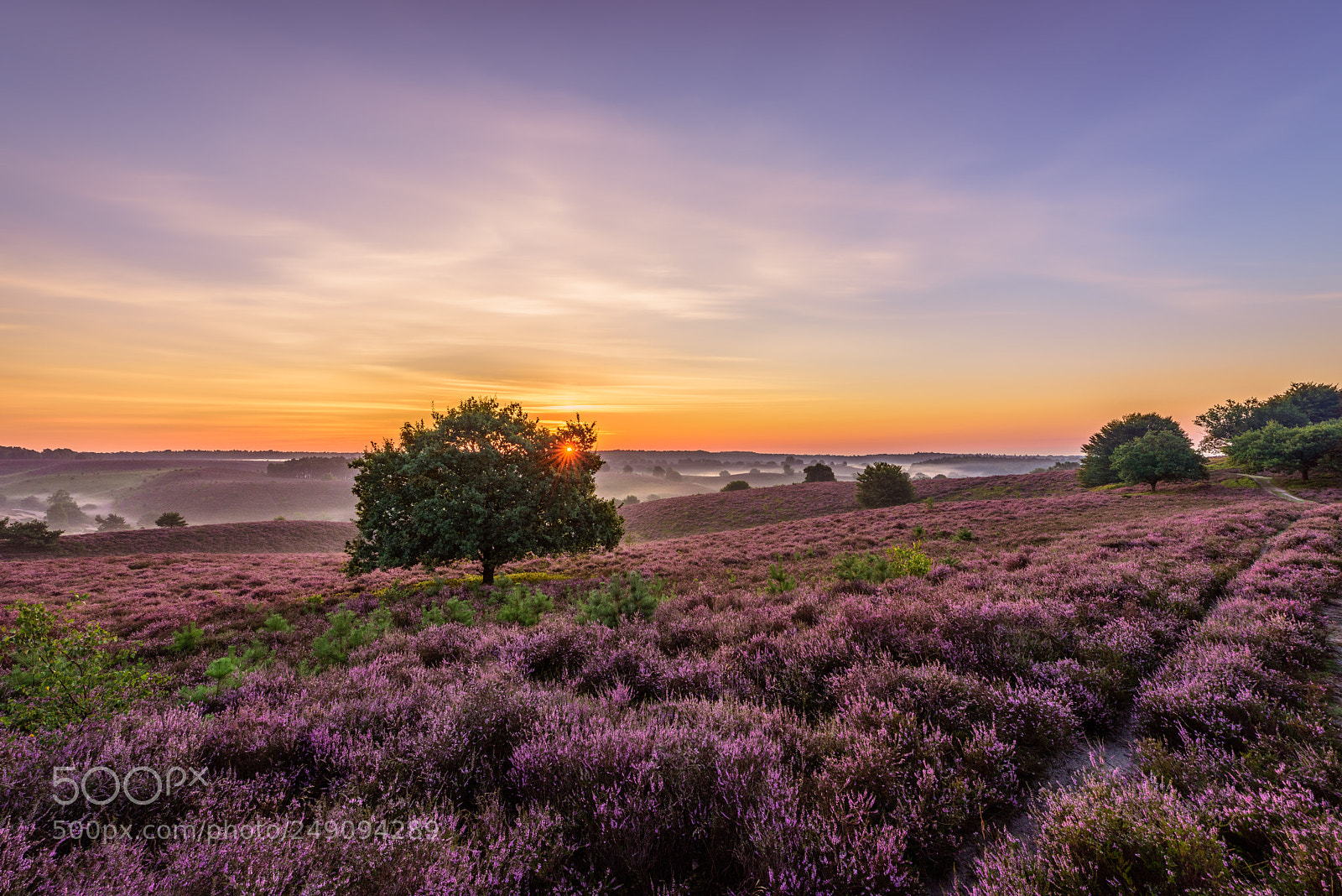 Nikon D810 sample photo. Late summer sunrise photography