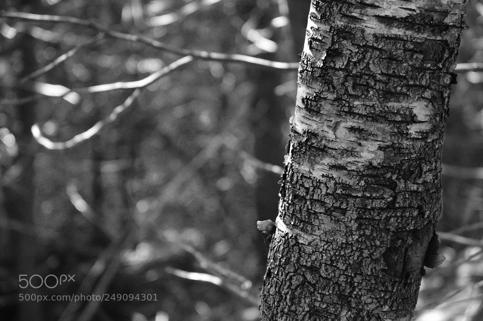 Nikon D7100 sample photo. Untitled photography