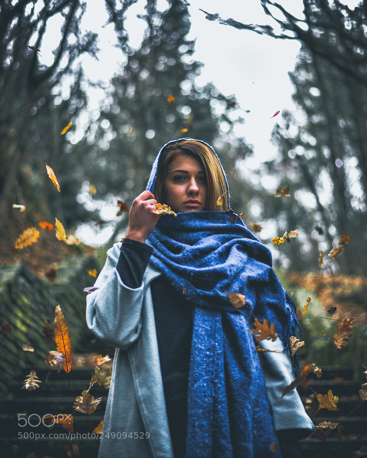 Nikon D610 sample photo. Untitled photography