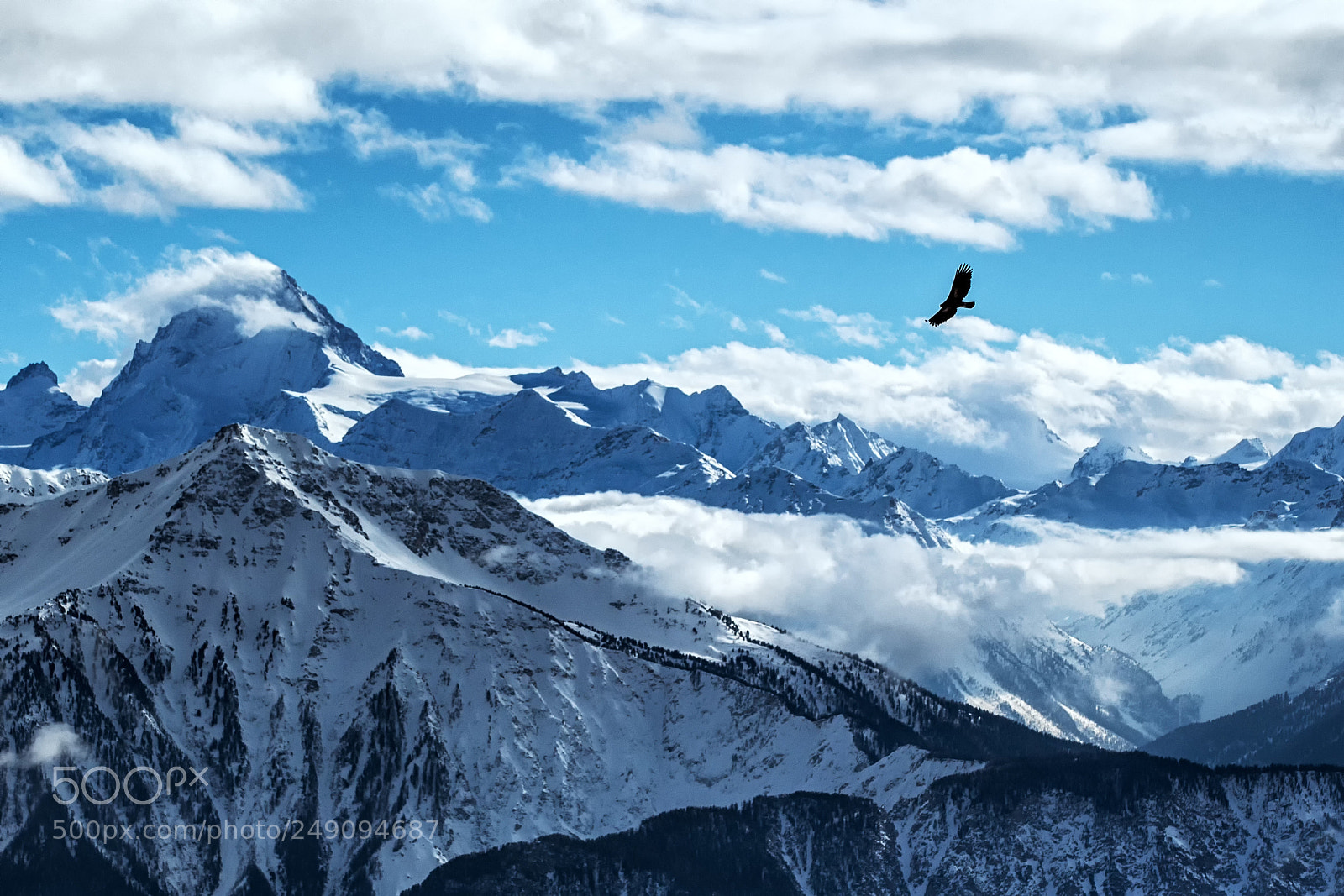 Canon EOS-1D X sample photo. Golden eagle photography