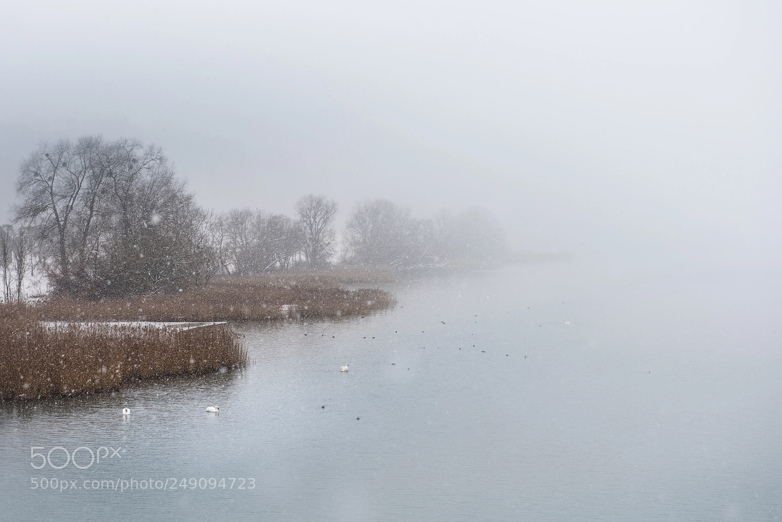 Nikon D810 sample photo. Whiteout photography
