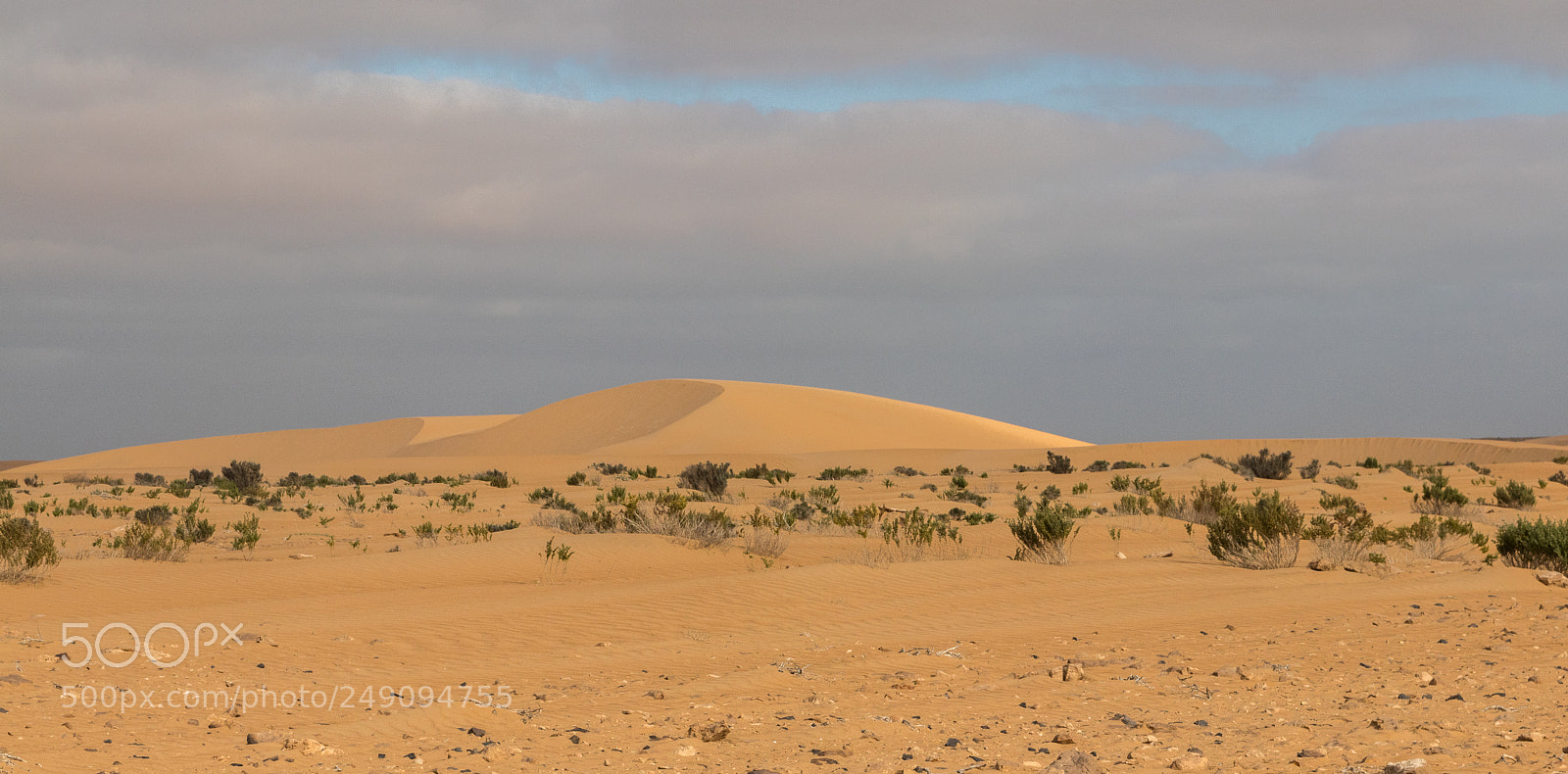 Canon EOS 80D sample photo. Dune in sahara photography