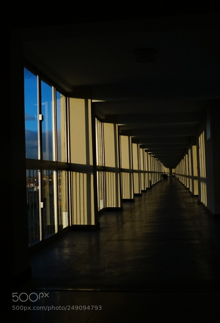 Sony a6000 sample photo. Untitled photography