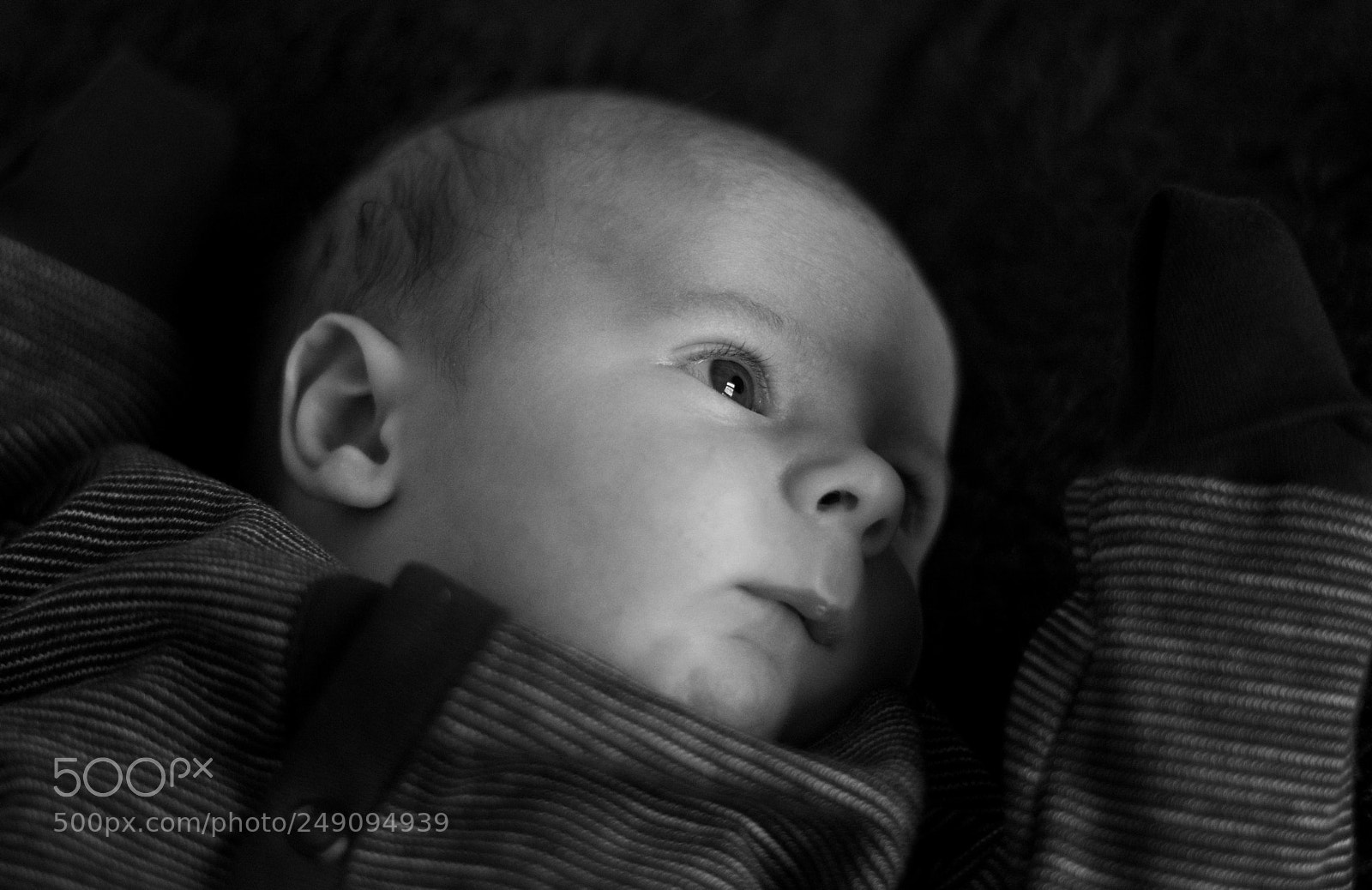 Nikon D7100 sample photo. Untitled photography