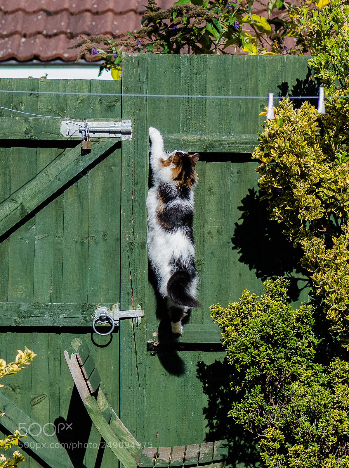 Olympus OM-D E-M1 Mark II sample photo. Olympus digital camera photography
