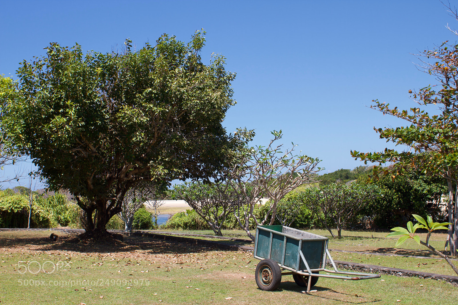 Canon EOS 7D sample photo. Untitled photography