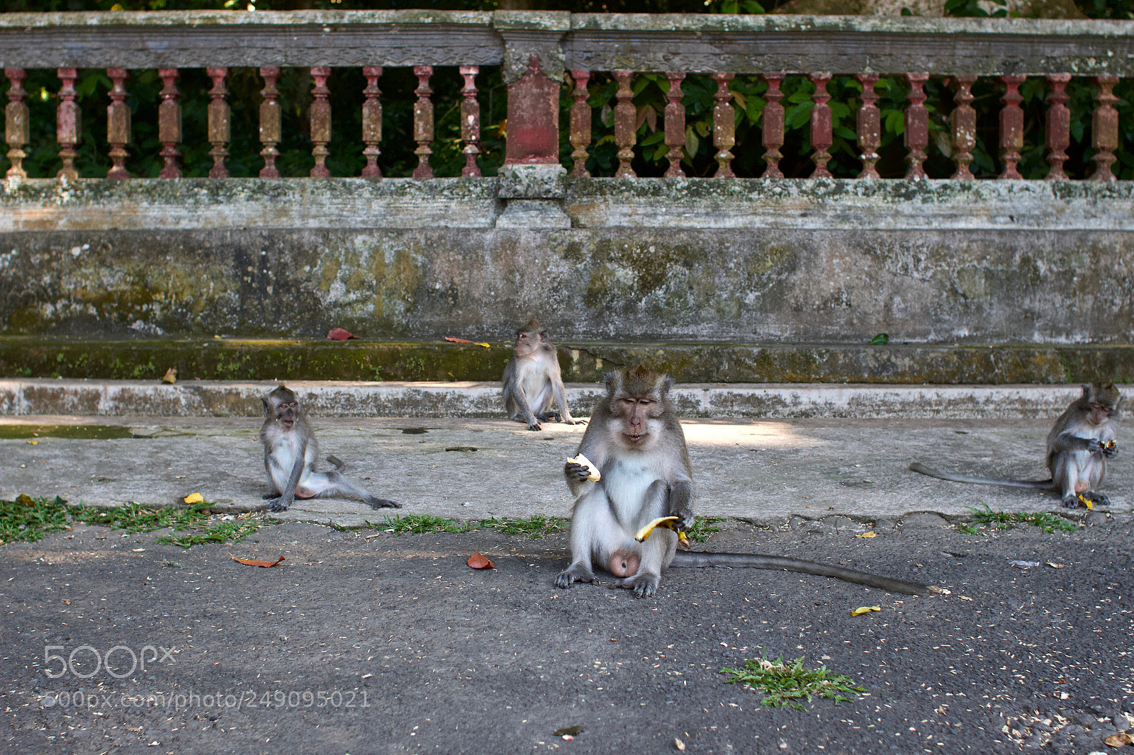 Canon EOS 7D sample photo. Untitled photography