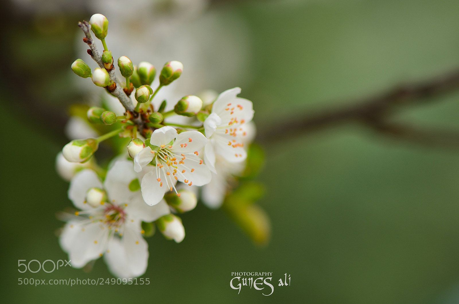 Nikon D7100 sample photo. Untitled photography