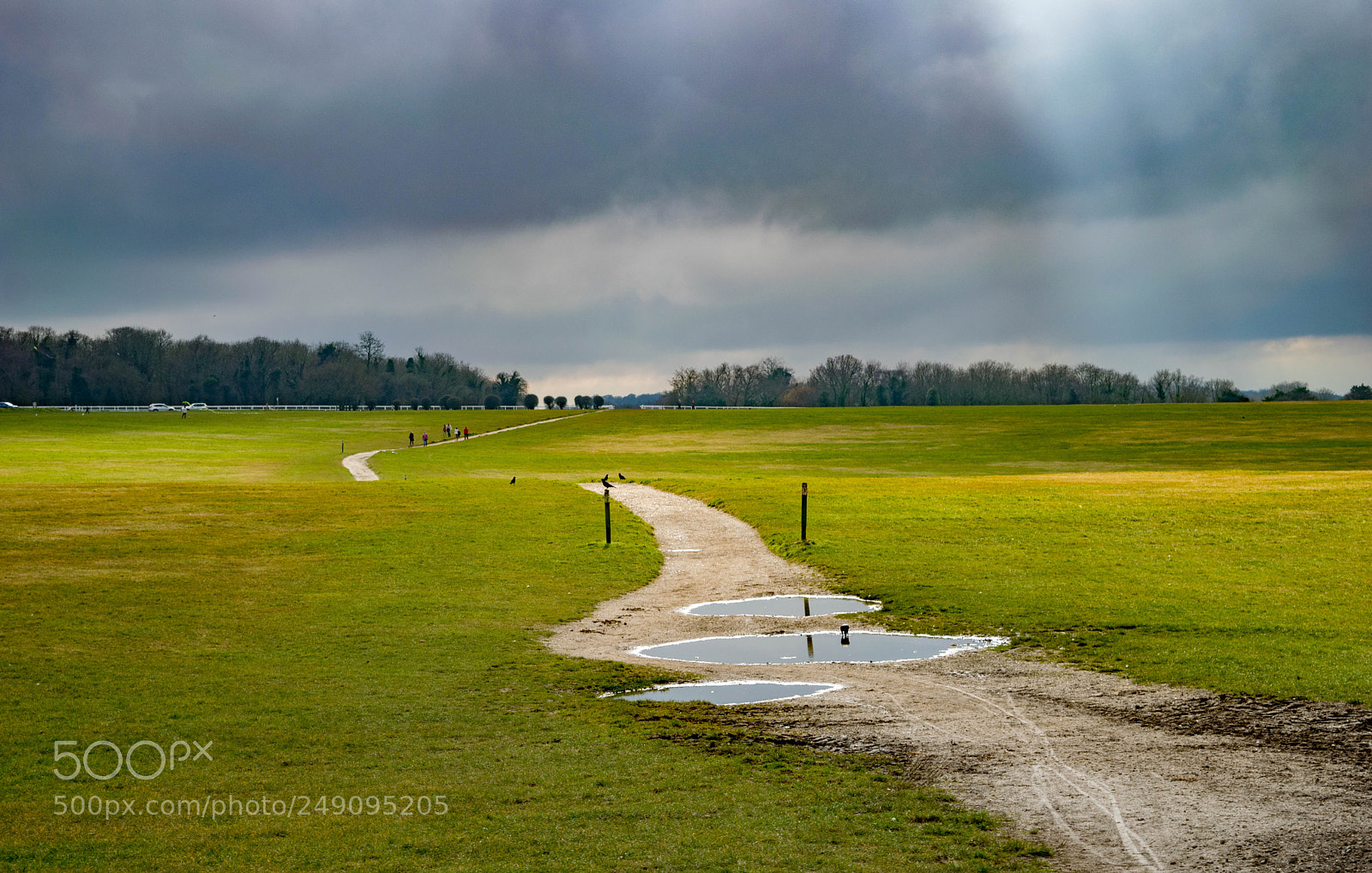 Nikon D3300 sample photo. Three puddles photography
