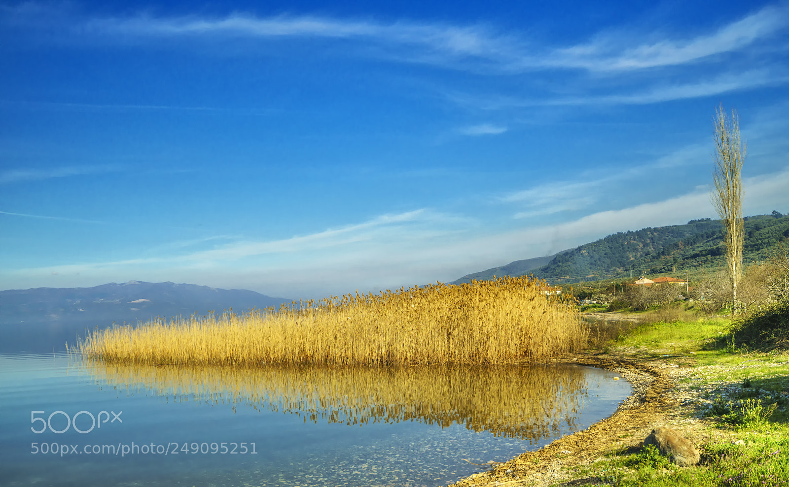 Sony a7R II sample photo. Blue, yellow and green .. photography