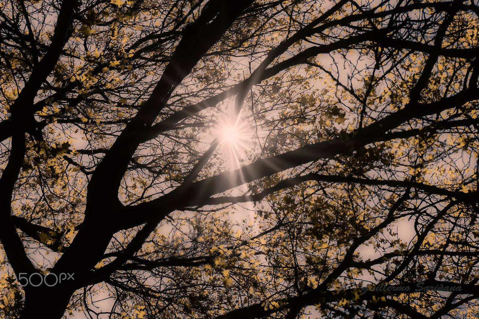 Samsung NX1000 sample photo. Shadows photography