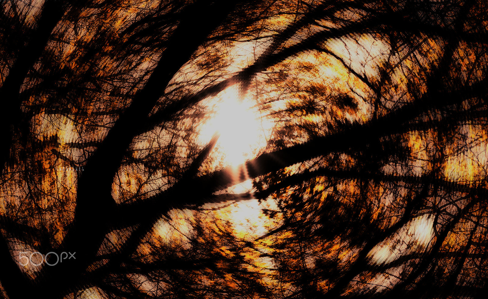 Samsung NX1000 sample photo. Shadows photography
