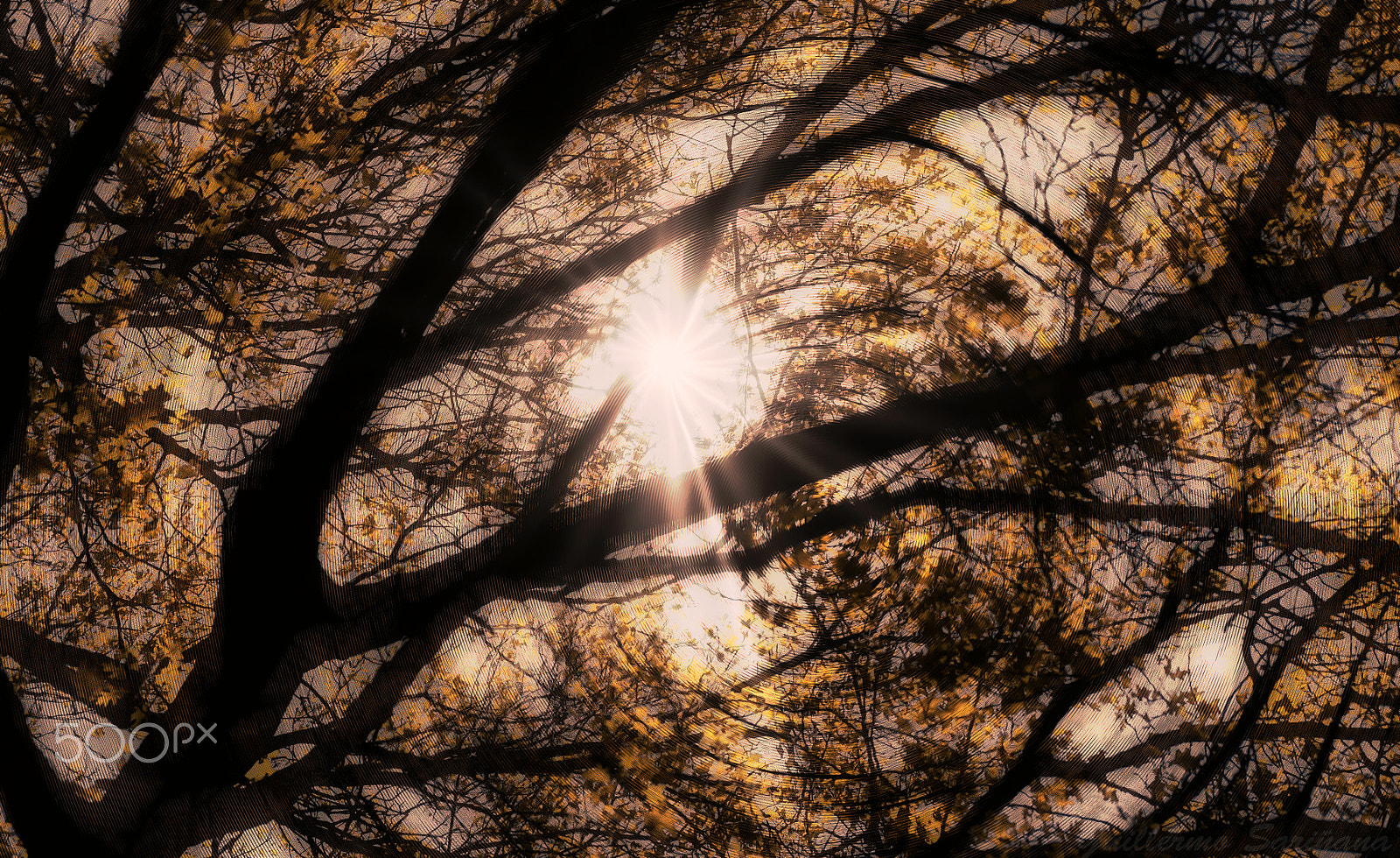 Samsung NX1000 sample photo. Shadows photography