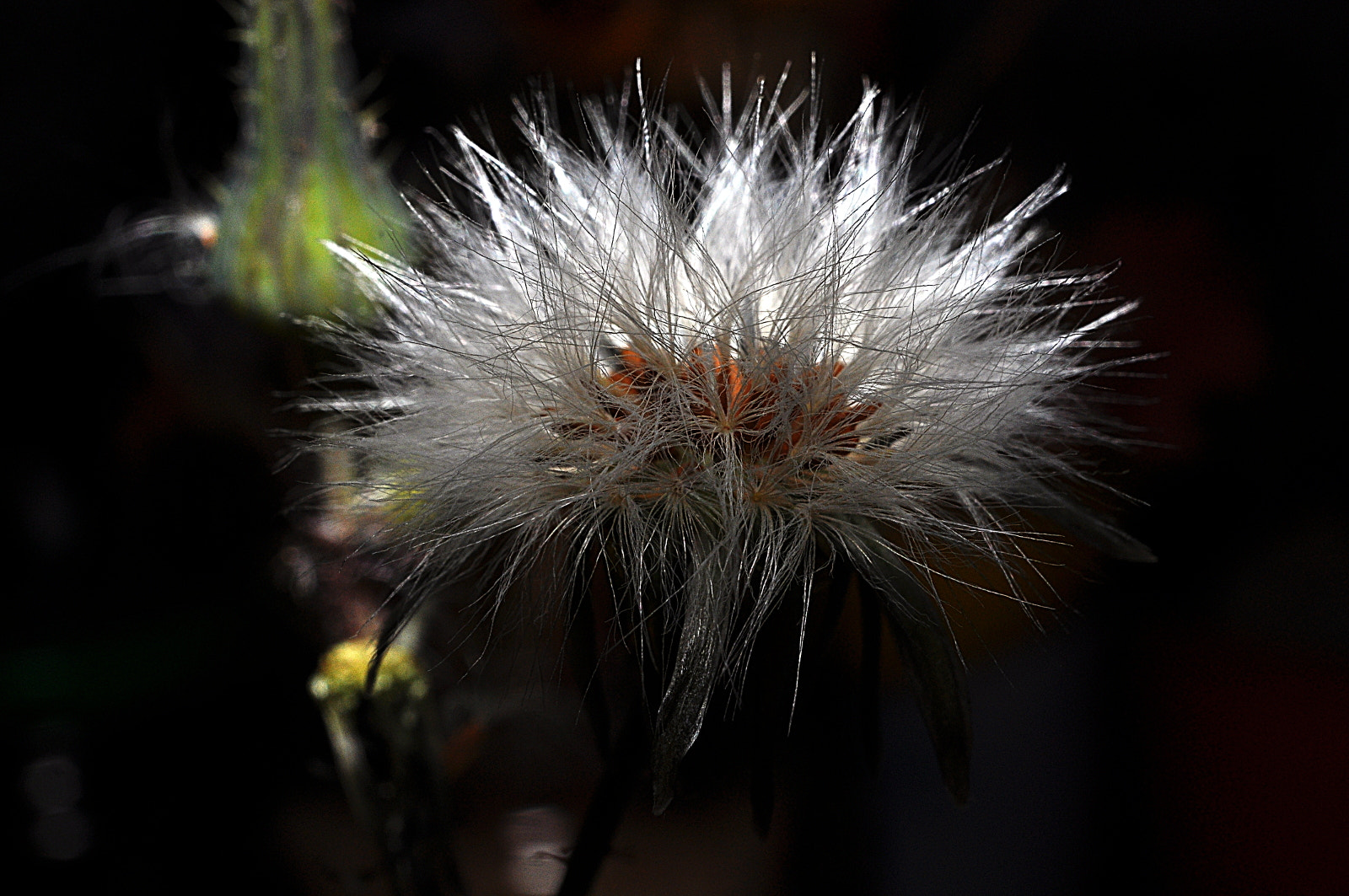 AF Nikkor 28mm f/2.8 sample photo. A photography