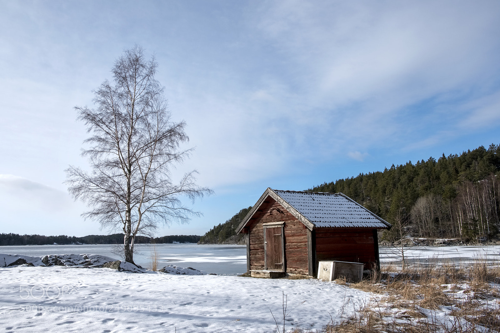 Fujifilm X-T2 sample photo. Red shed and birch photography