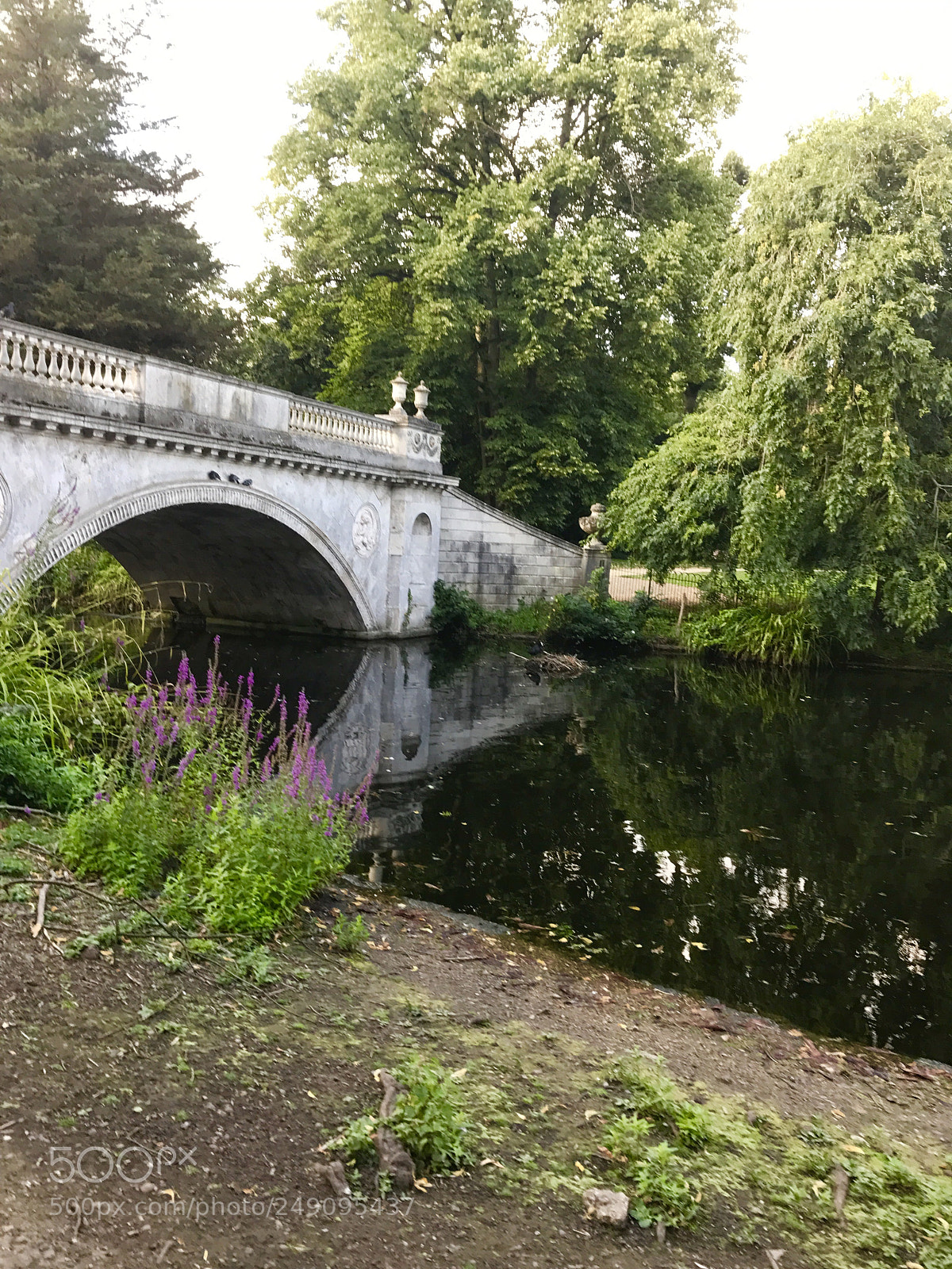 Apple iPhone 7 sample photo. Untitled photography