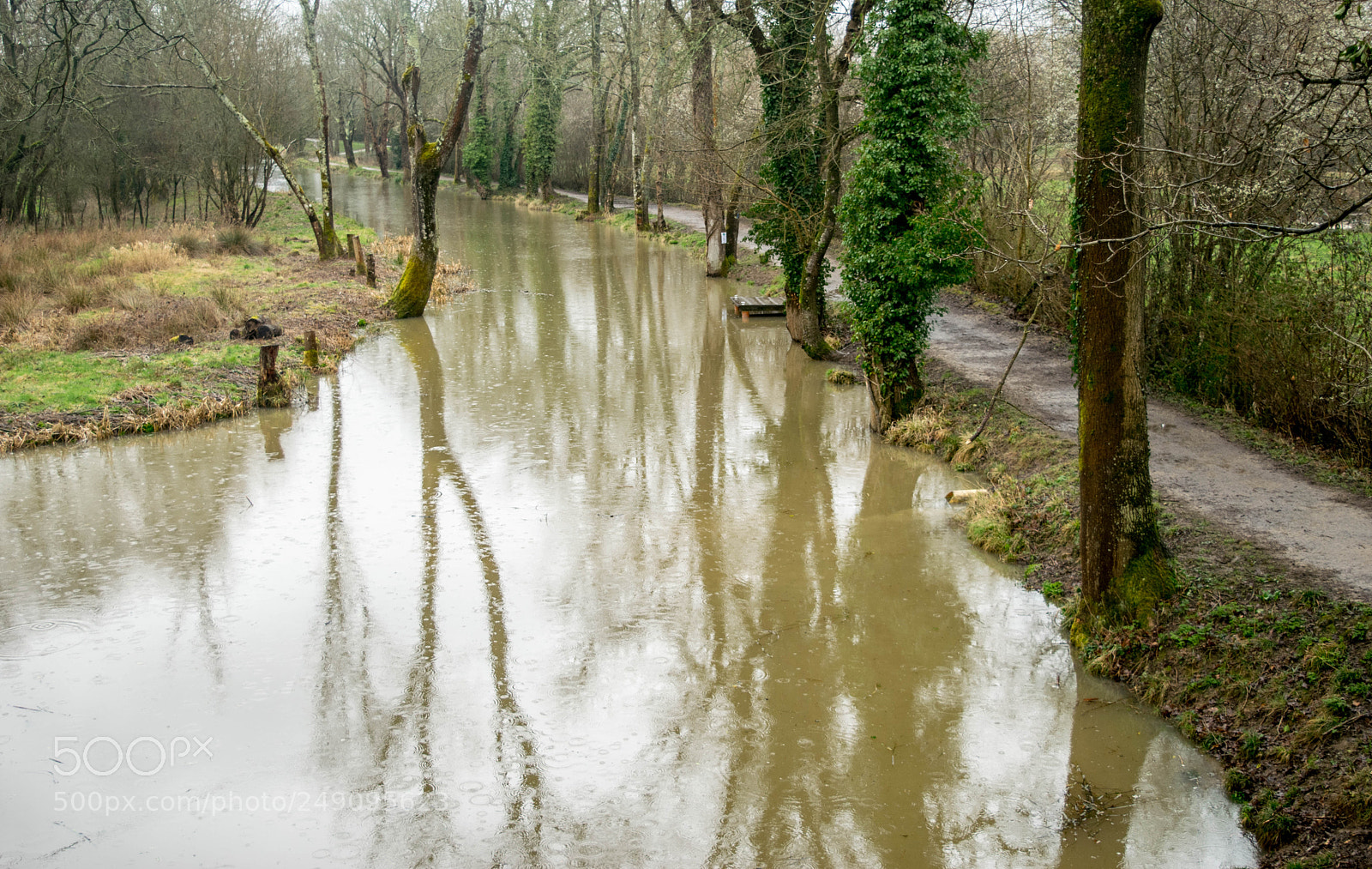 Nikon D3300 sample photo. Raining photography