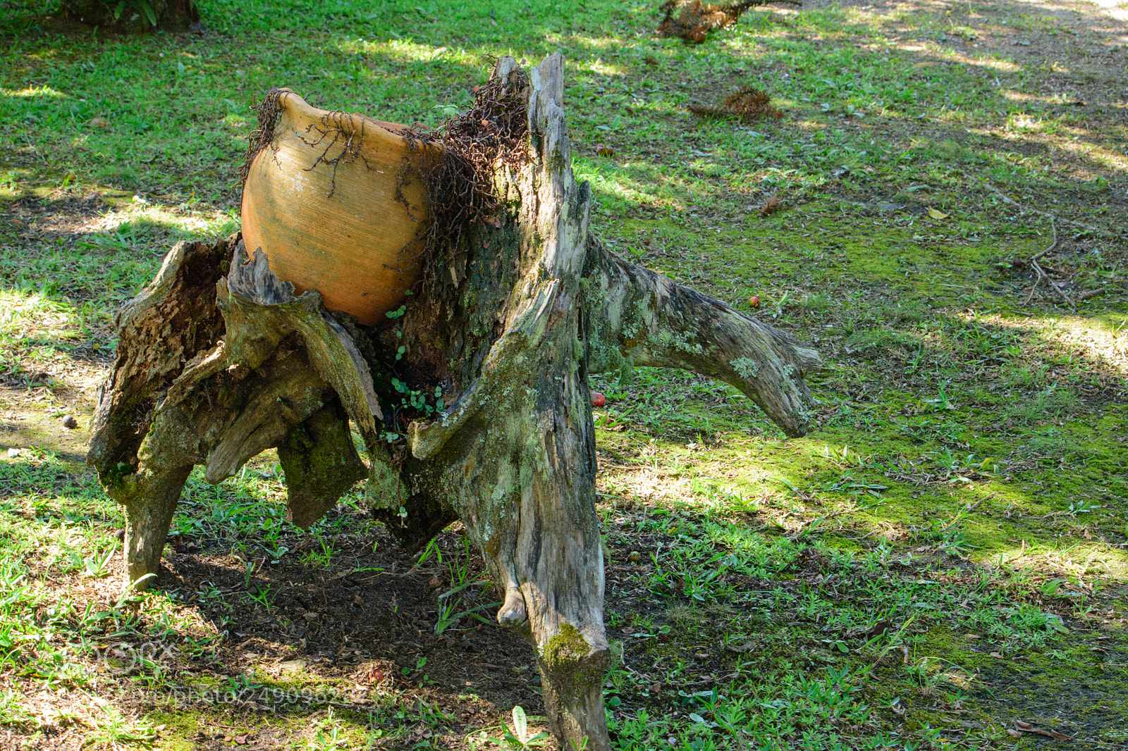 Nikon D7200 sample photo. 11032018-wck_1301.jpg photography